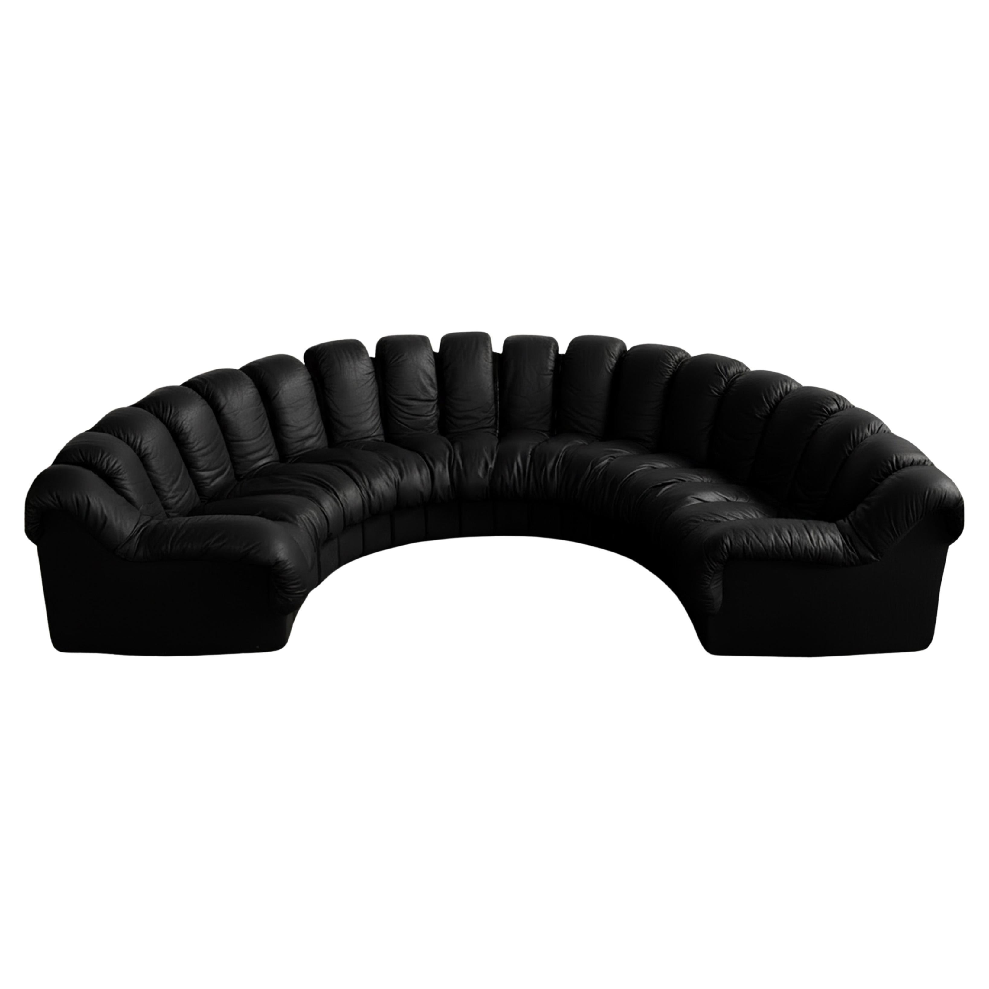 DS-600 "Snake" Sofa für De Sede, Schwarzes Leder, 1972, Satz von 18 im Angebot