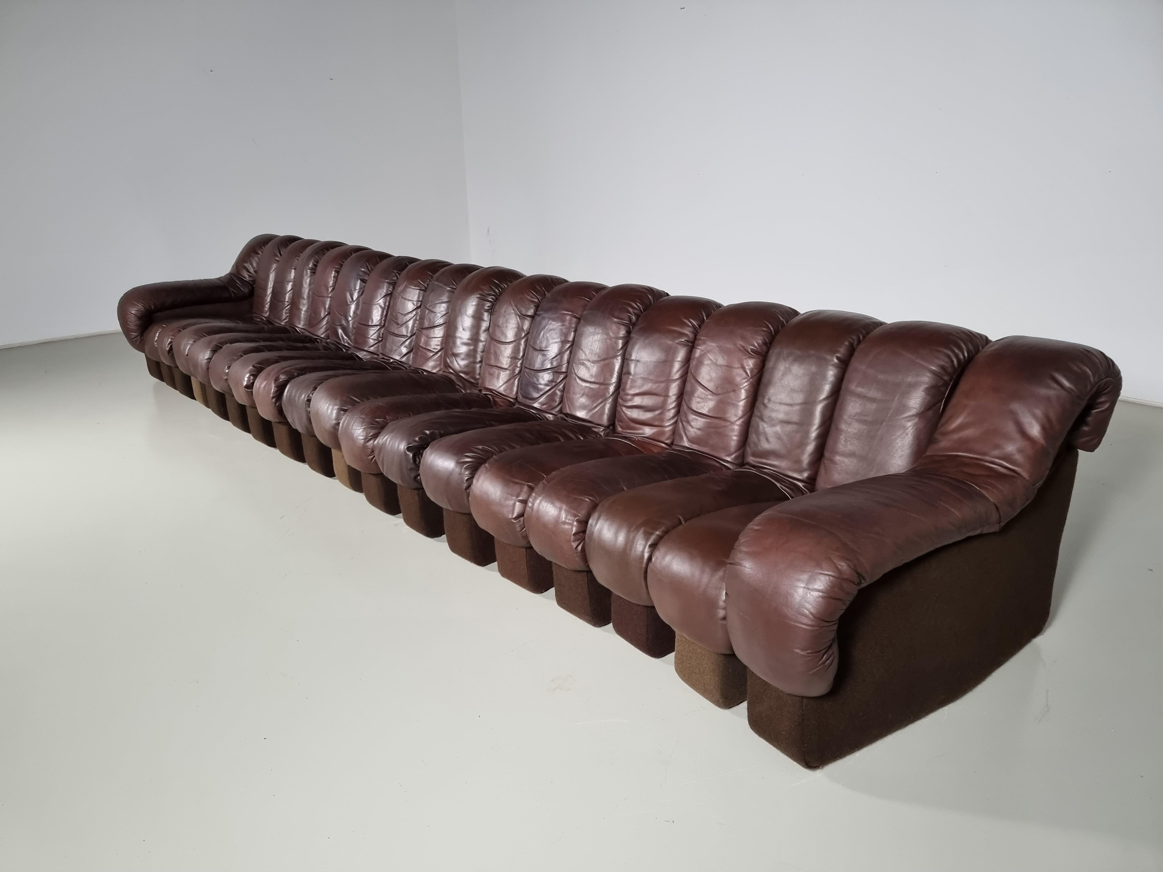 Ds-600 'Snake' Sofa in Original Leather by De Sede Switzerland, 1970s 3