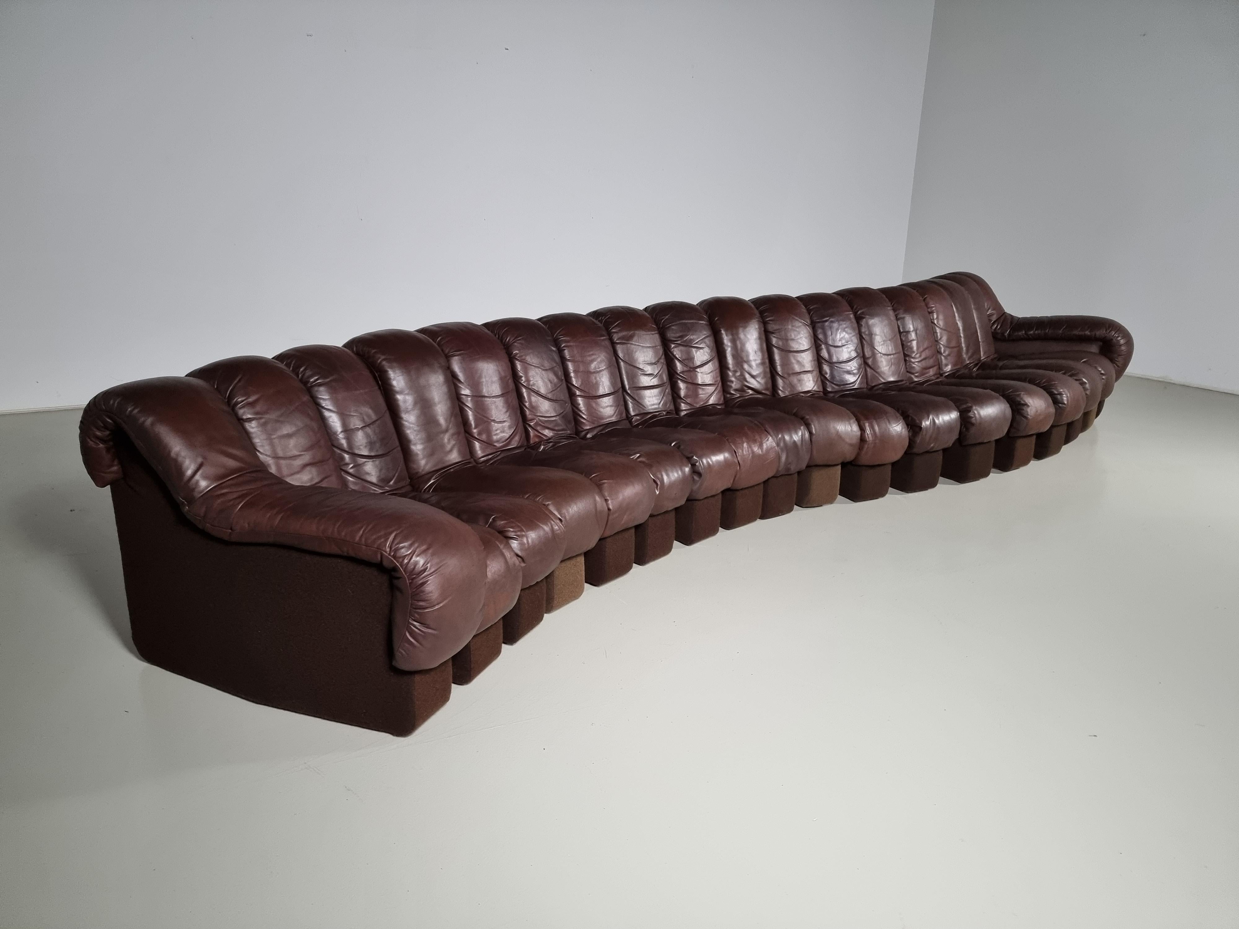 Ds-600 'Snake' Sofa in Original Leather by De Sede Switzerland, 1970s 4