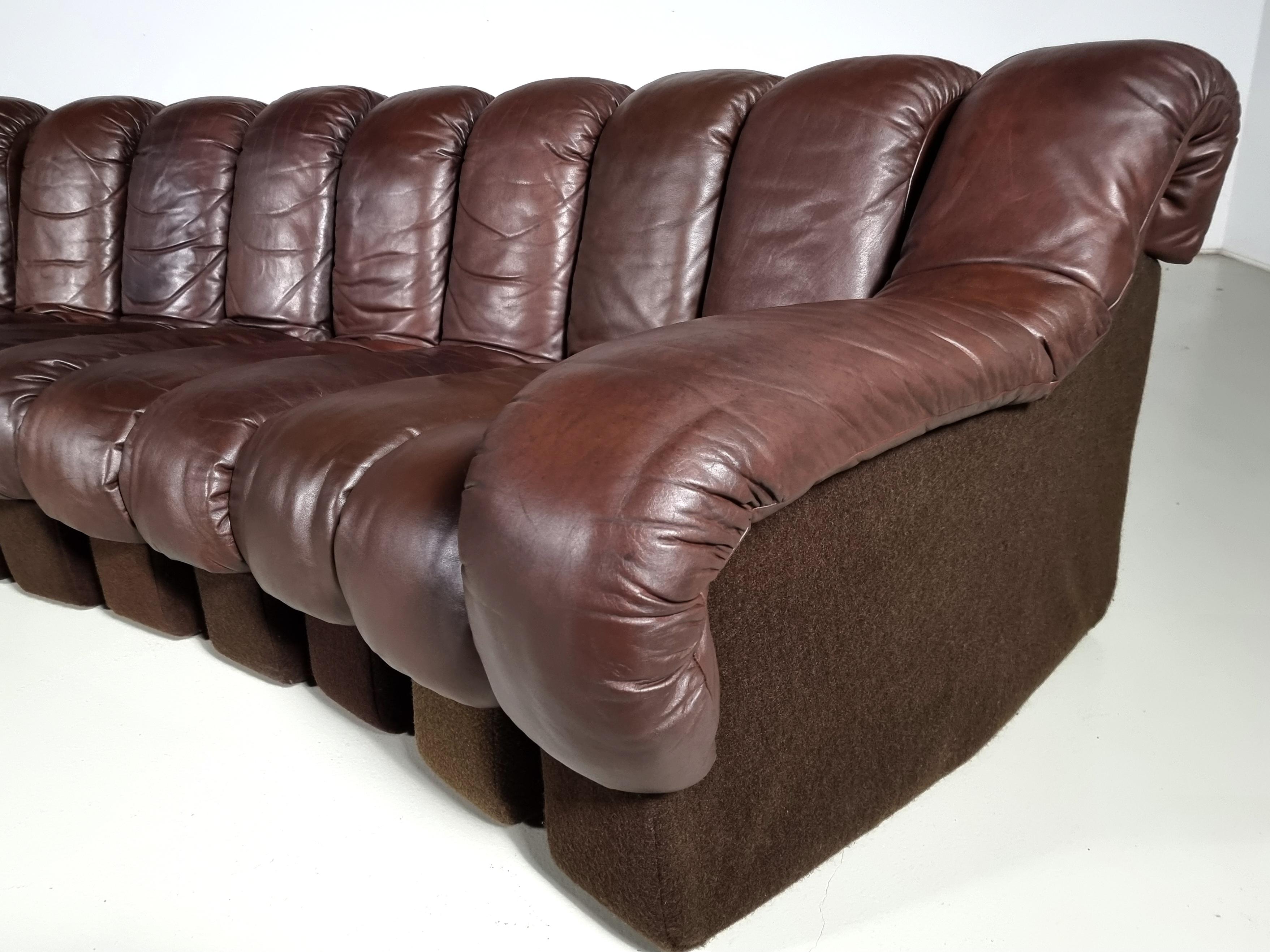 Ds-600 'Snake' Sofa in Original Leather by De Sede Switzerland, 1970s 5