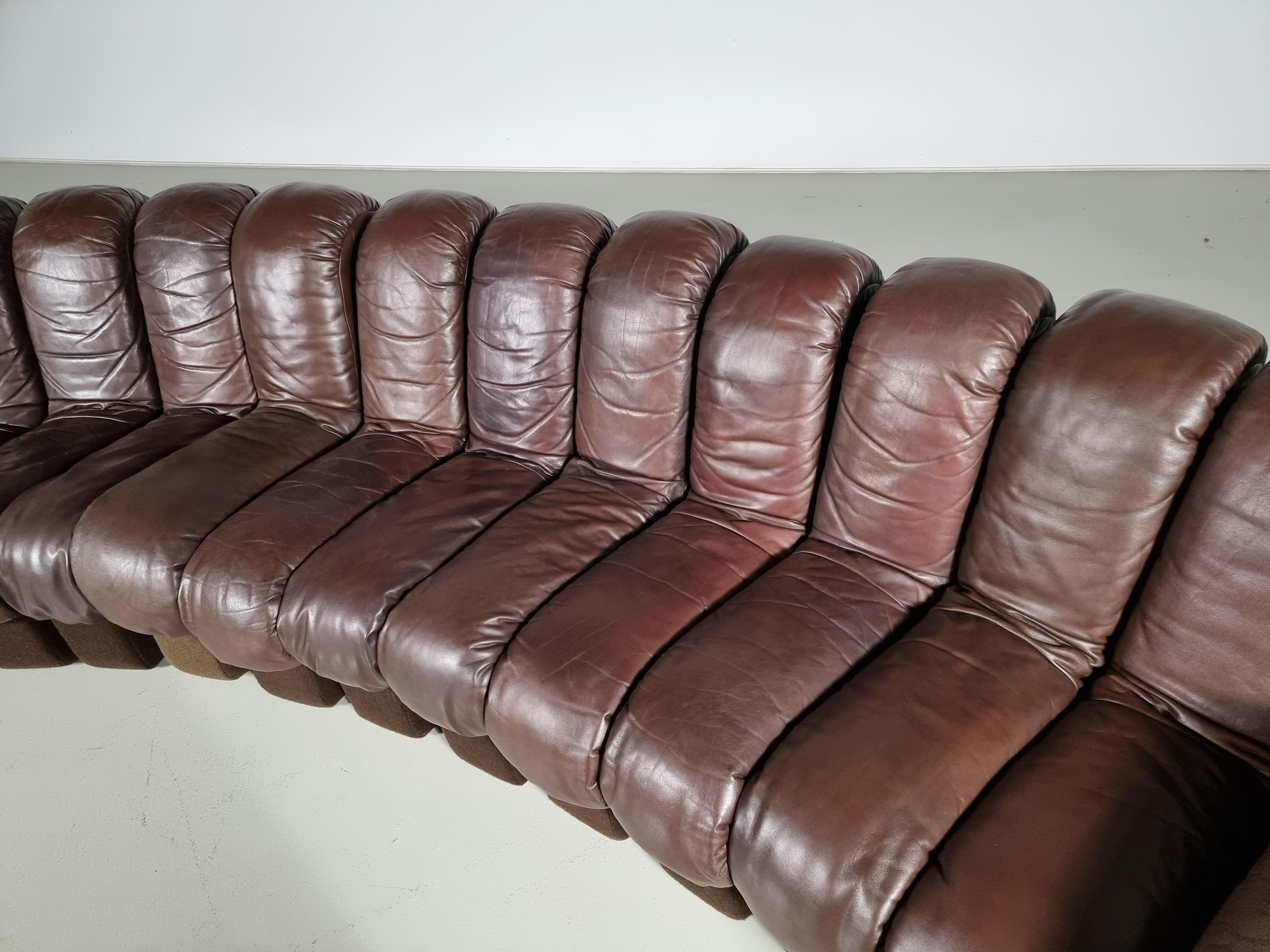 Ds-600 'Snake' Sofa in Original Leather by De Sede Switzerland, 1970s 6