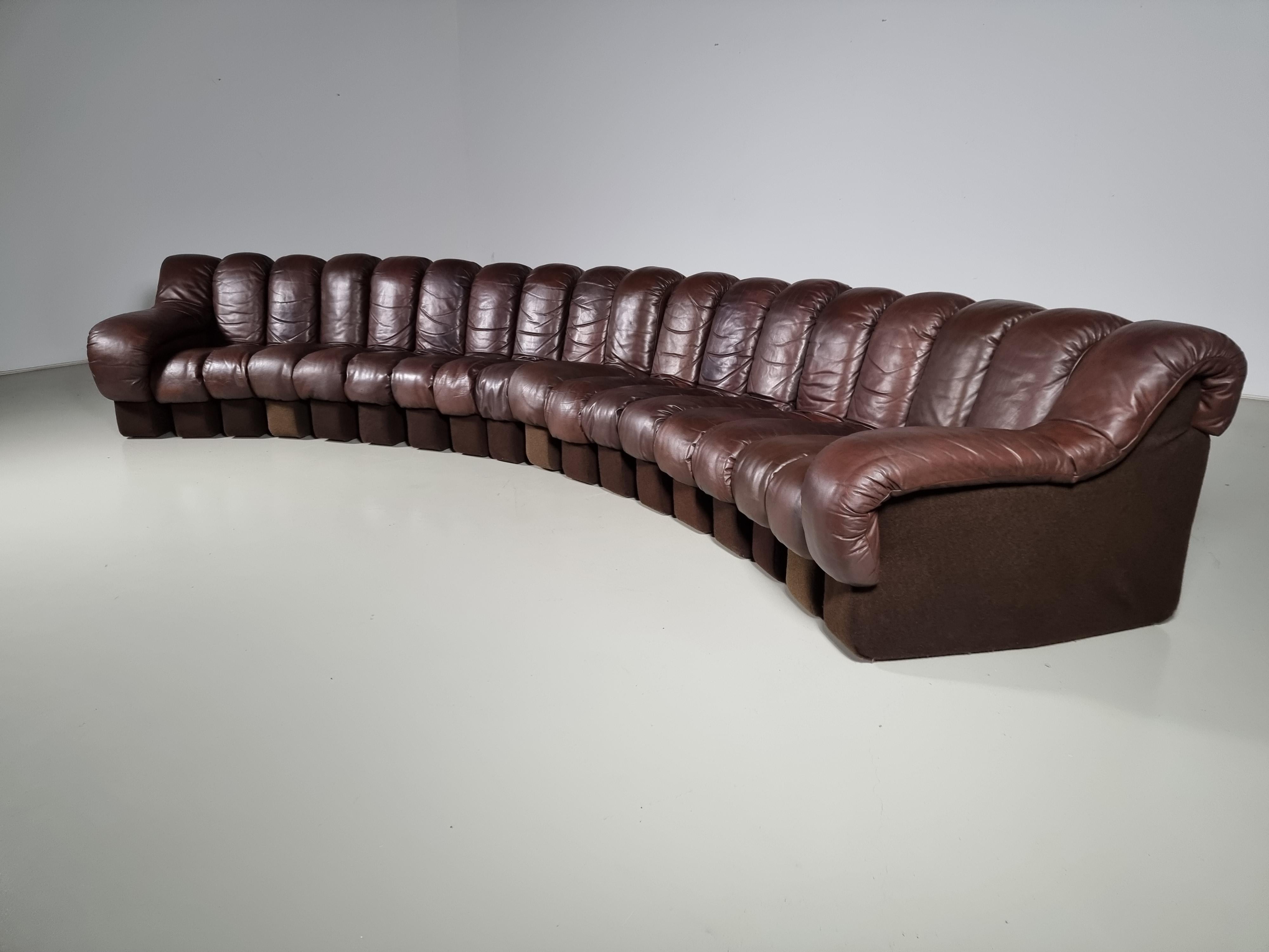 Mid-Century Modern Ds-600 'Snake' Sofa in Original Leather by De Sede Switzerland, 1970s