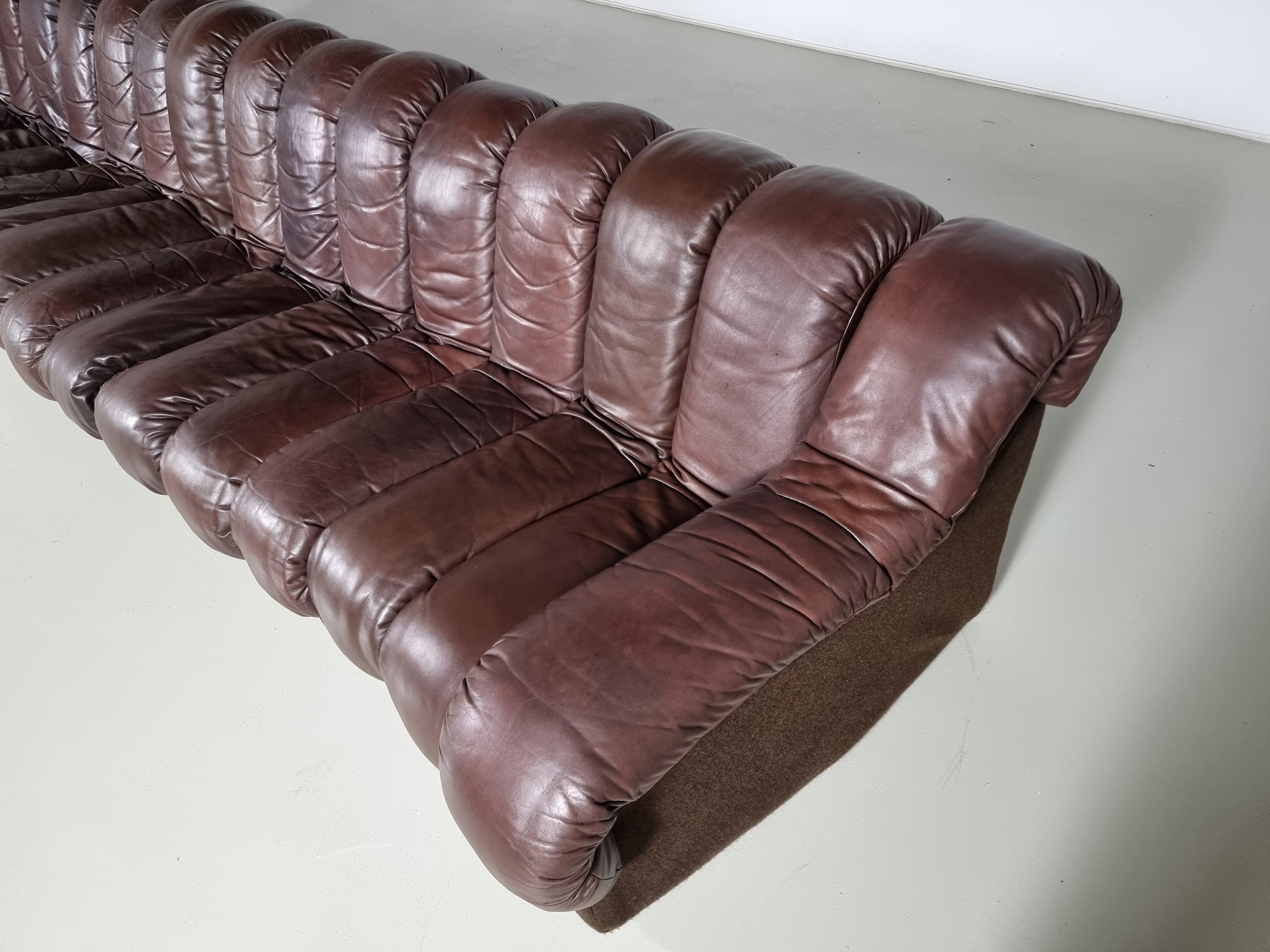 Ds-600 'Snake' Sofa in Original Leather by De Sede Switzerland, 1970s 1