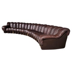 Vintage Ds-600 'Snake' Sofa in Original Leather by De Sede Switzerland, 1970s