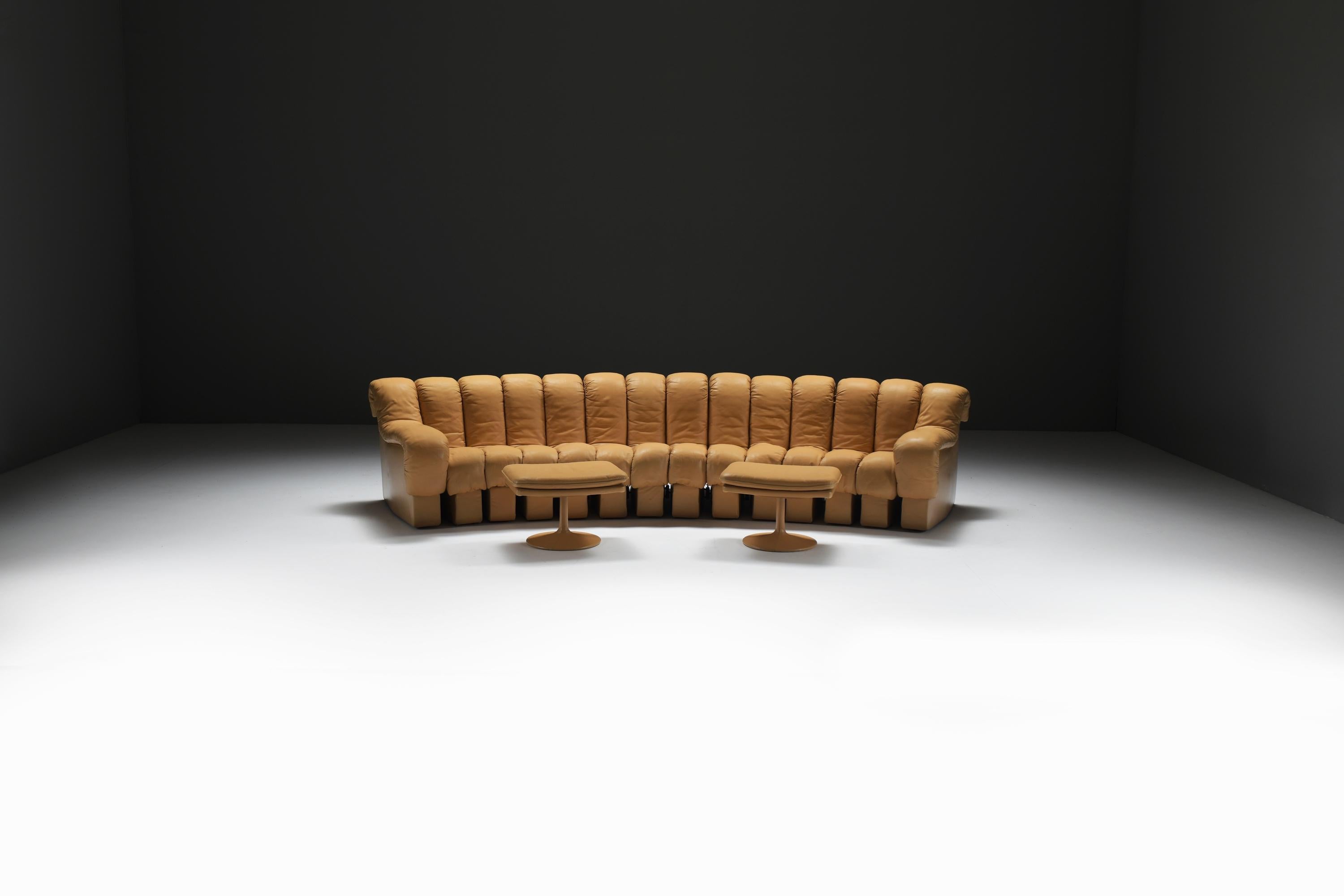 DS-600 Schlangen-Tatzelwurm von Berger, Peduzzi-Riva, Ulrich, Vogt für De Sede Swiss (Leder) im Angebot