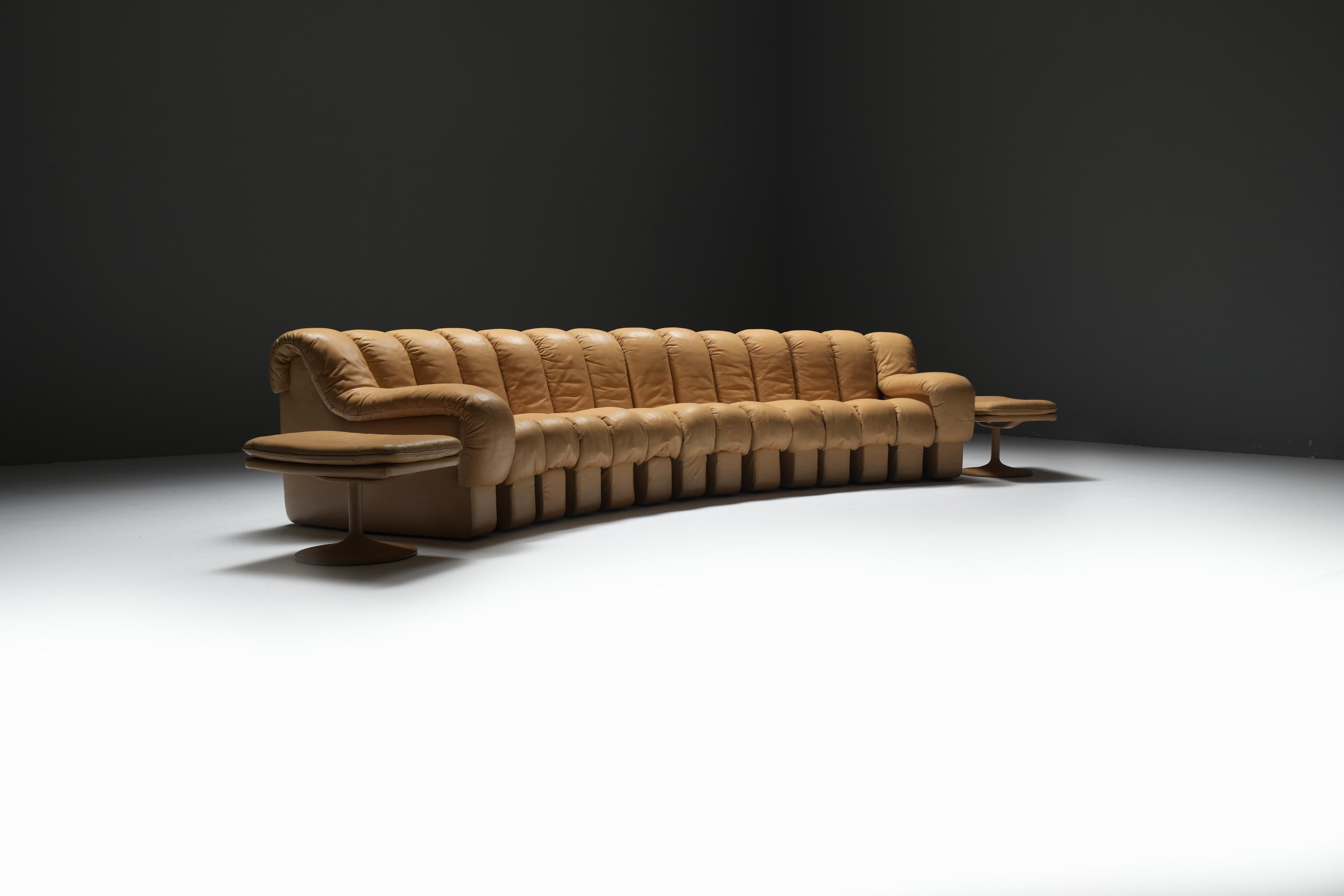 DS-600 Schlangen-Tatzelwurm von Berger, Peduzzi-Riva, Ulrich, Vogt für De Sede Swiss im Angebot 1