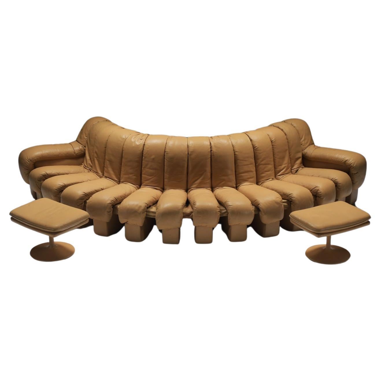 DS-600 Schlangen-Tatzelwurm von Berger, Peduzzi-Riva, Ulrich, Vogt für De Sede Swiss im Angebot