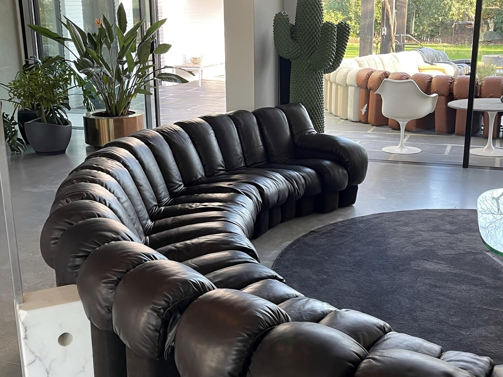Ds-600 Sofa for De Sede Leather by Berger, Peduzzi-Riva, Ulrich, Vogt 2