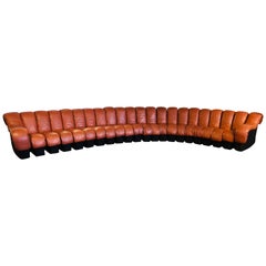 DS-600 Ueli Berger De Sede-Stendig Section Sofa 22 Sections