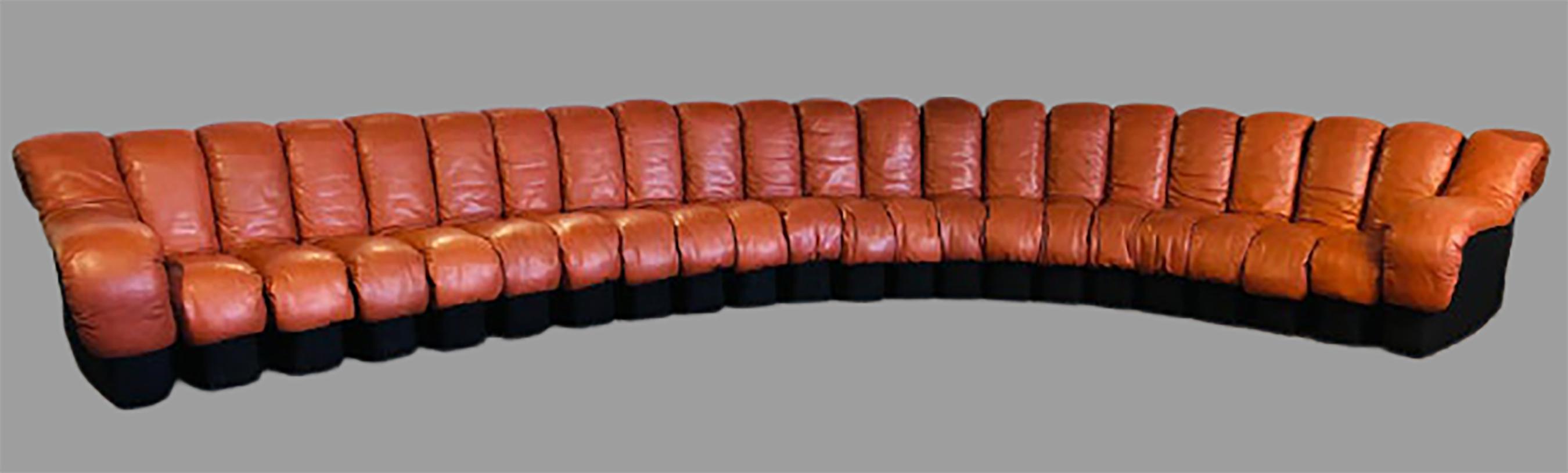 DS-600 Ueli Berger De Sede-Stendig Section Sofa 22 Sections In Good Condition In Manhasset, NY