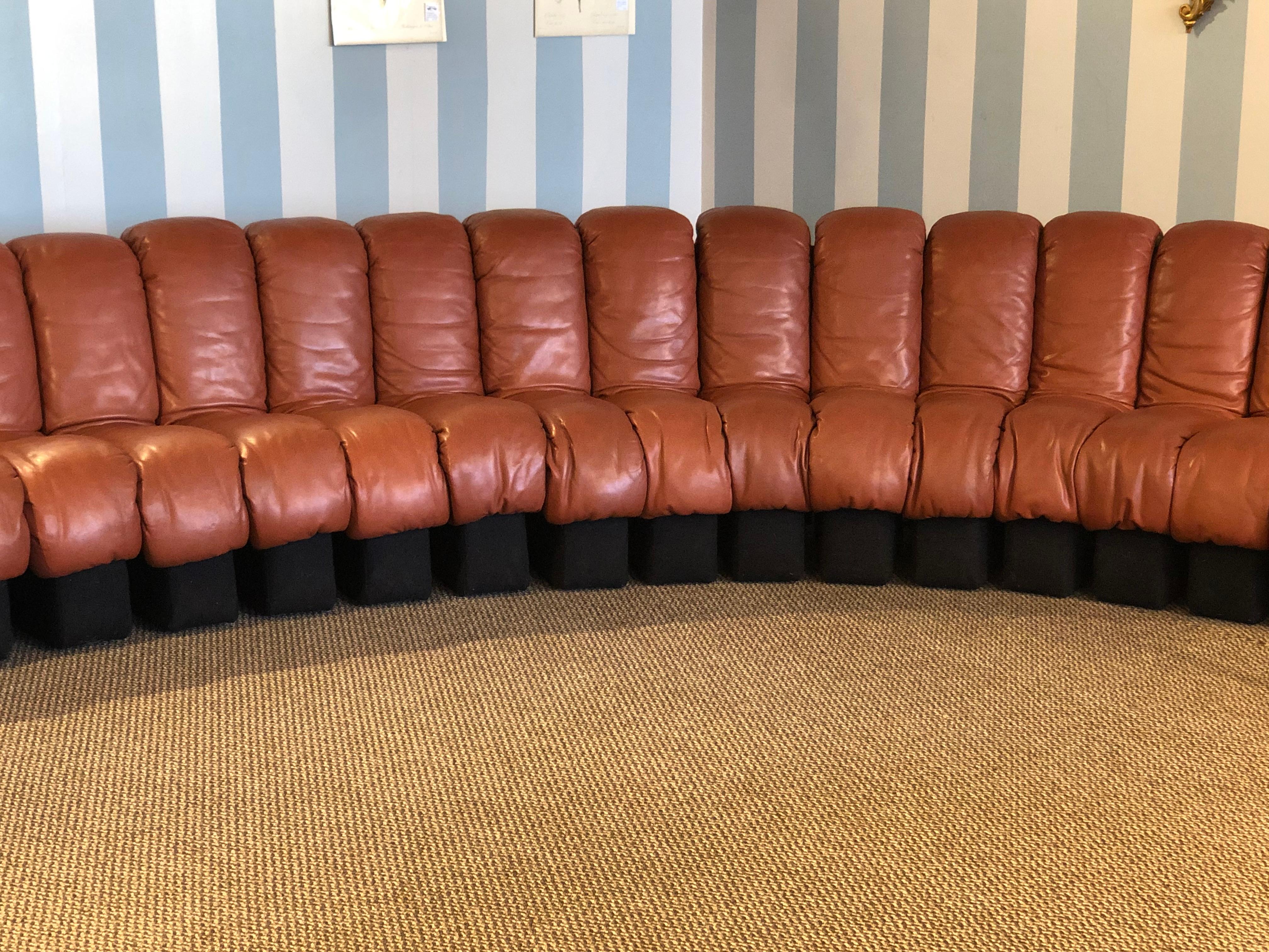 Leather DS-600 Ueli Berger De Sede-Stendig Section Sofa 22 Sections