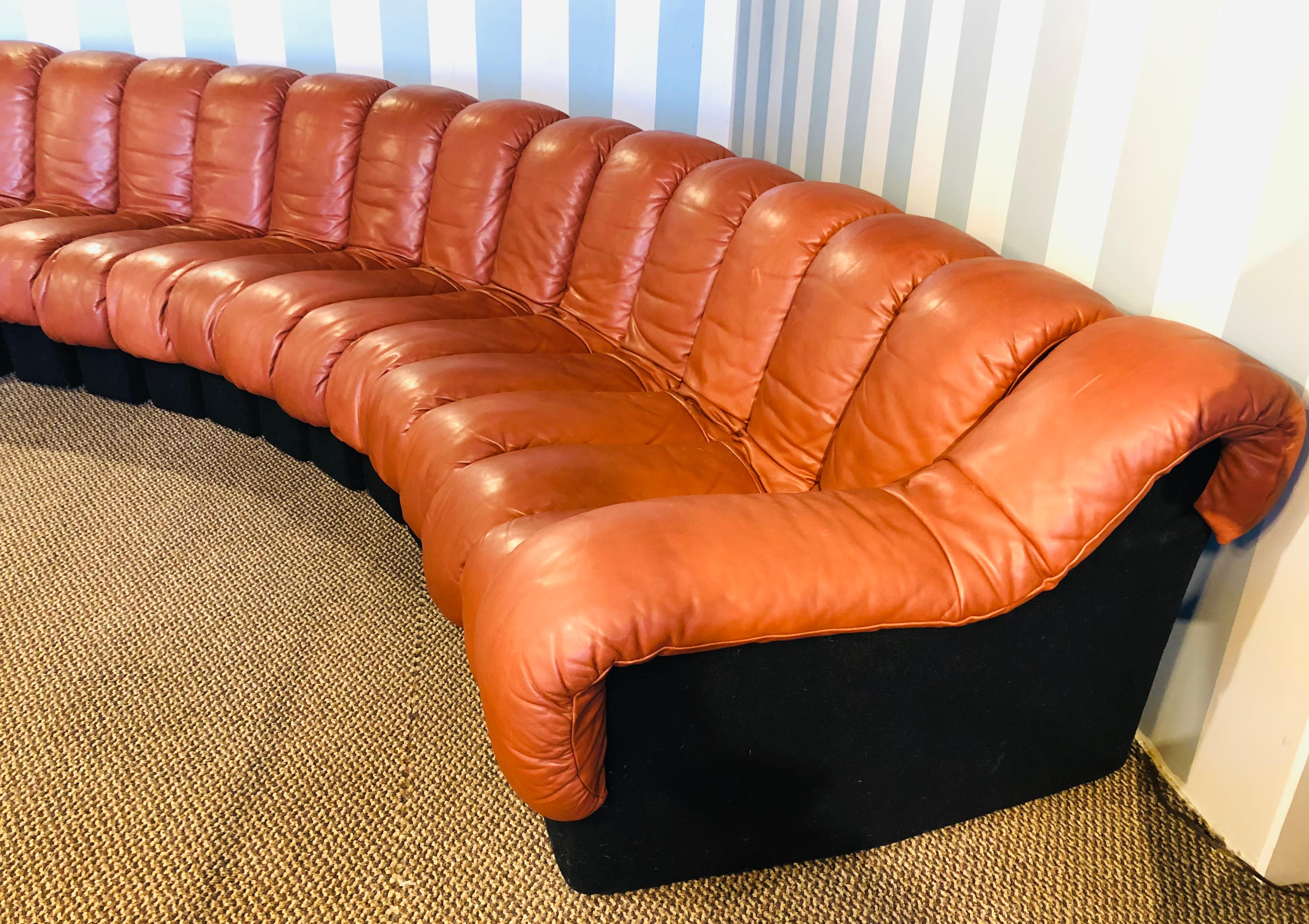 DS-600 Ueli Berger De Sede-Stendig Section Sofa 22 Sections 2