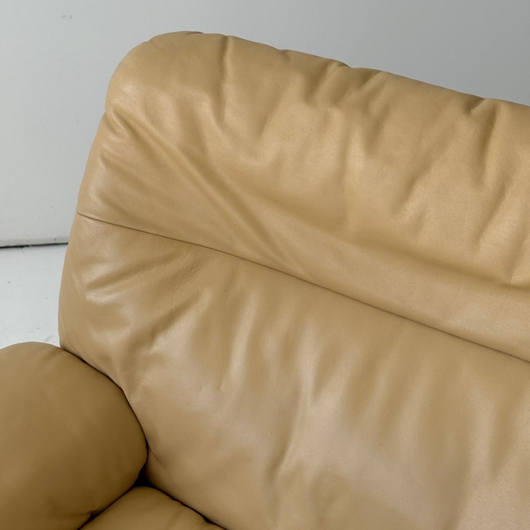 DS-66 Loungesessel aus Leder von De Sede (Moderne der Mitte des Jahrhunderts) im Angebot