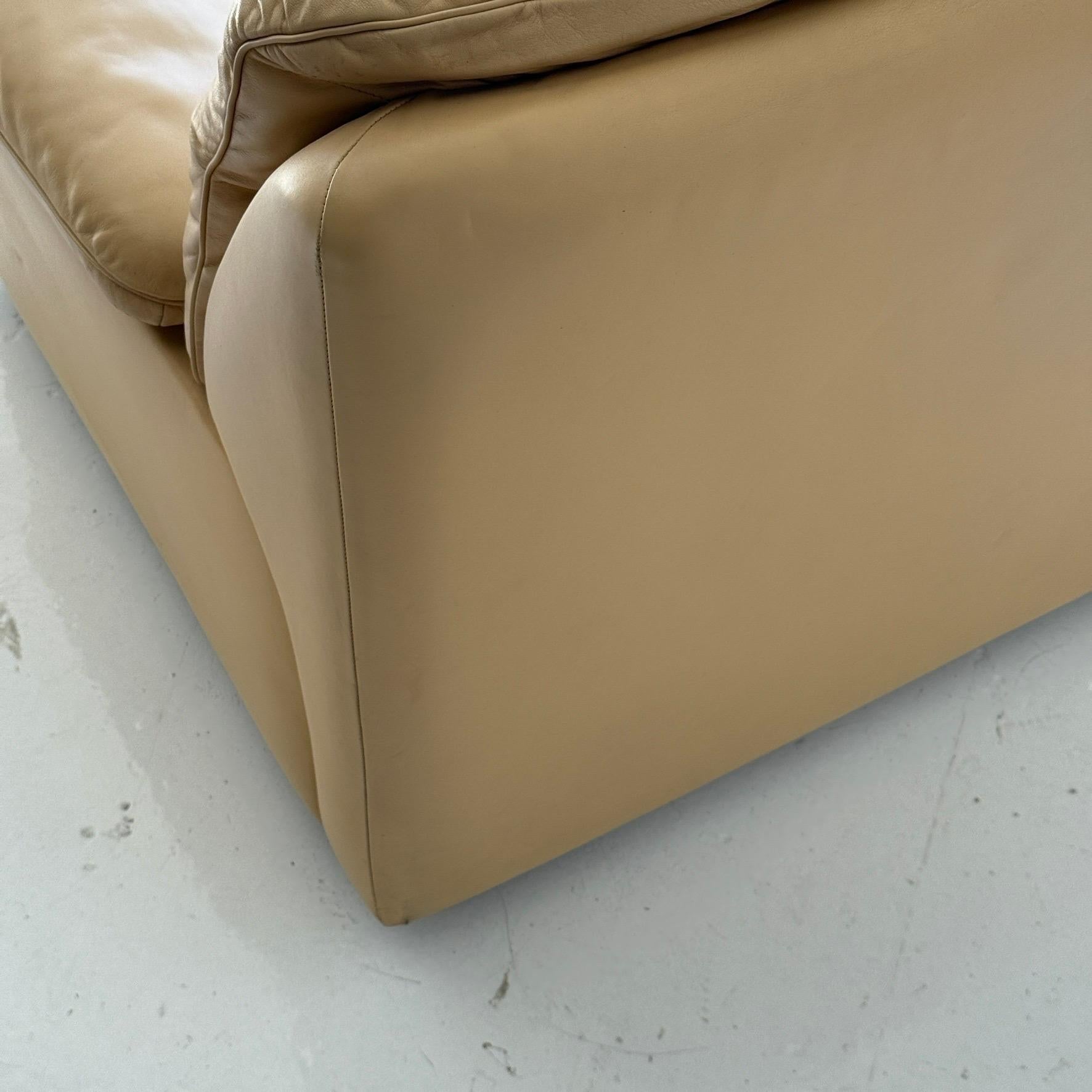 DS-66 Loungesessel aus Leder von De Sede (Schweizerisch) im Angebot