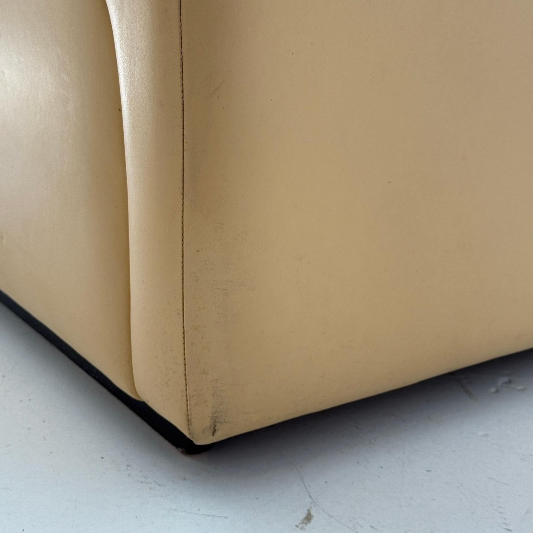 DS-66 Loungesessel aus Leder von De Sede (Sonstiges) im Angebot