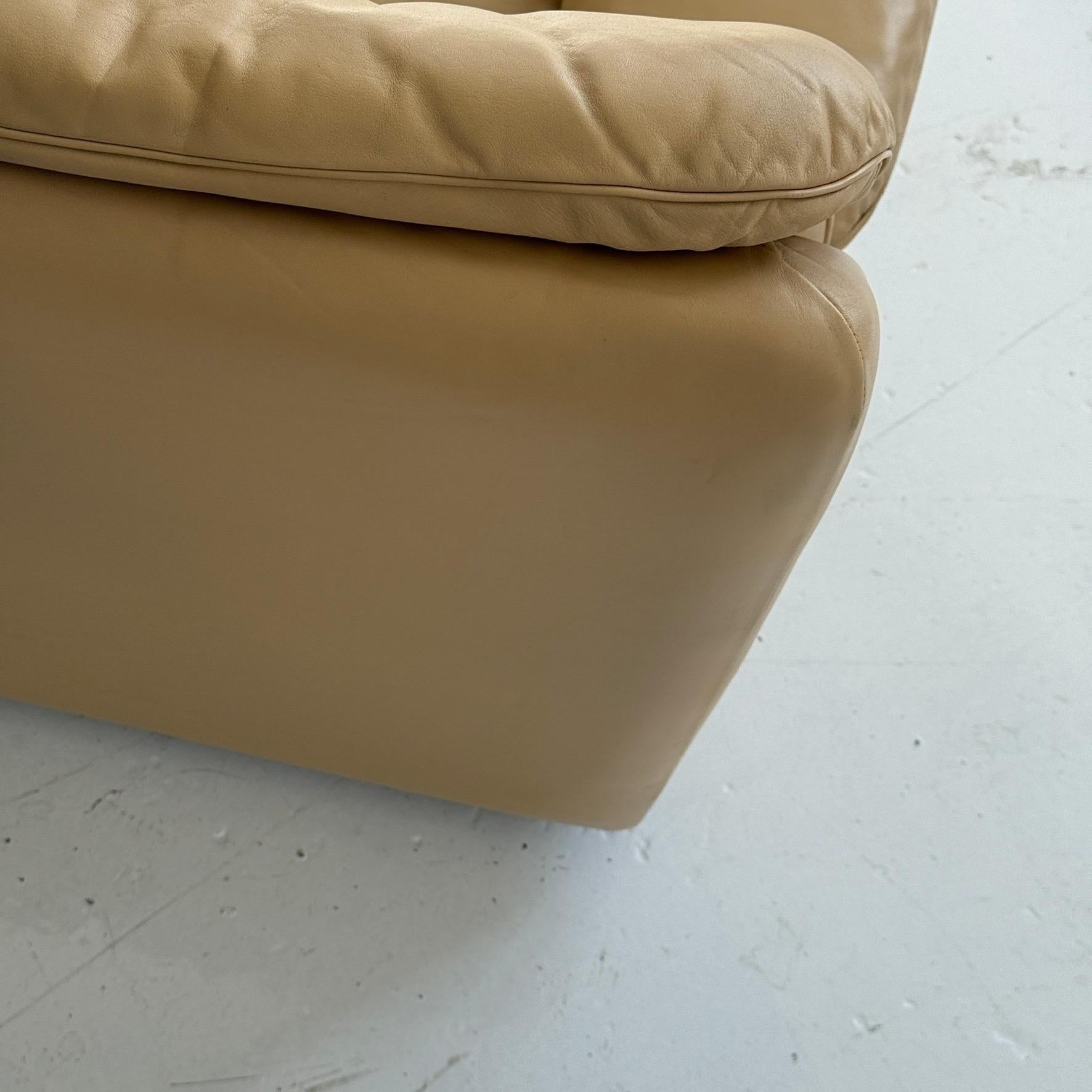 DS-66 Loungesessel aus Leder von De Sede im Zustand „Gut“ im Angebot in Chicago, IL