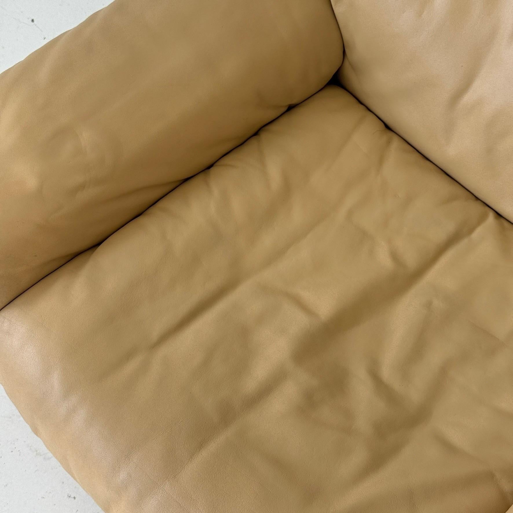 DS-66 Loungesessel aus Leder von De Sede (Ende des 20. Jahrhunderts) im Angebot