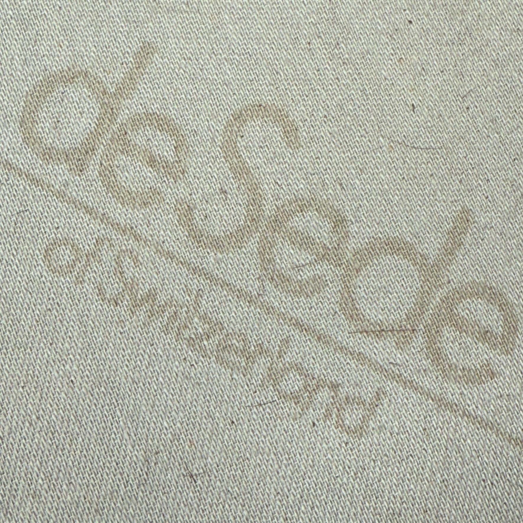 DS-66 Loungesessel aus Leder von De Sede im Angebot 1