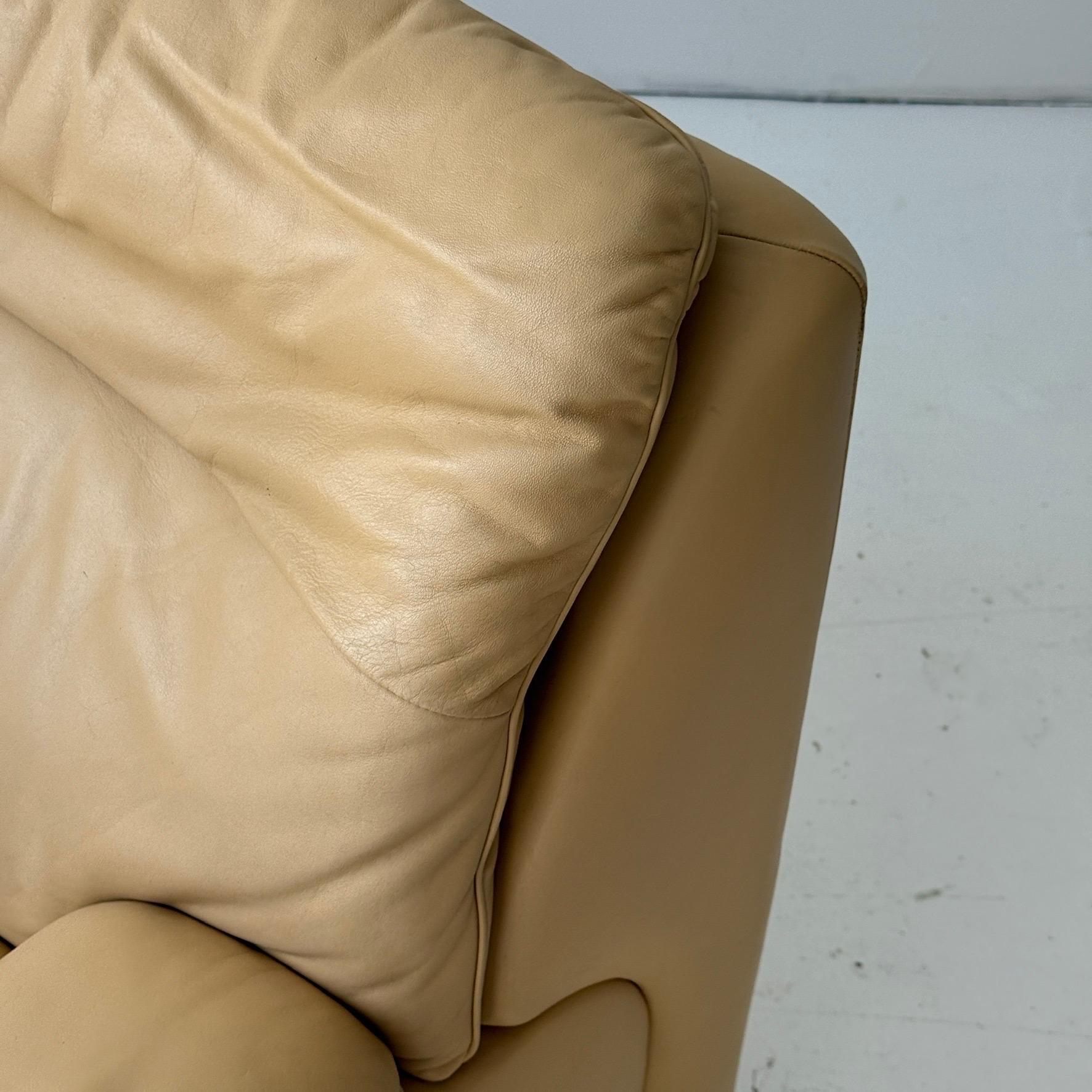DS-66 Loungesessel aus Leder von De Sede im Angebot 2