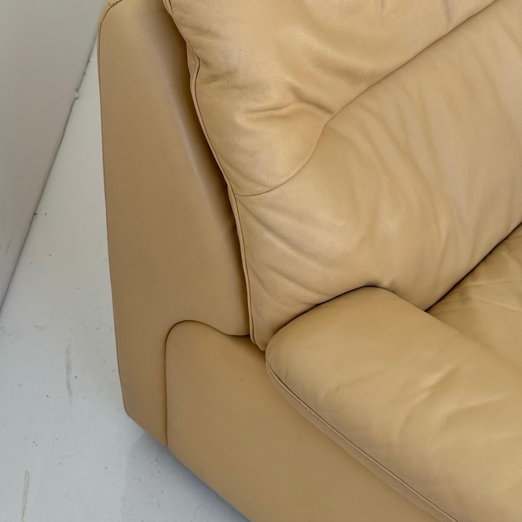 DS-66 Leder-Sofa aus Leder von De Sede im Angebot 3