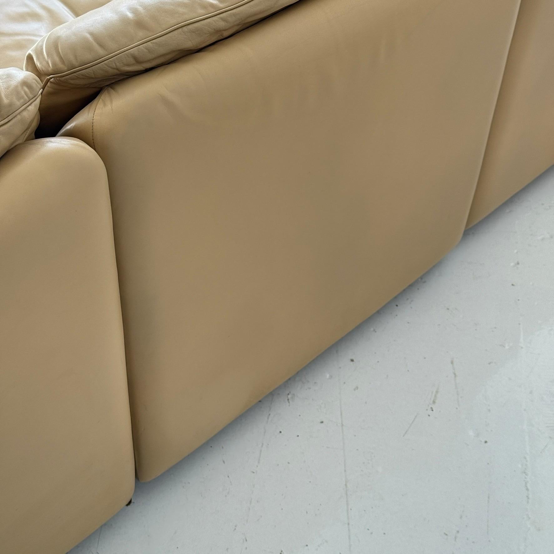 DS-66 Leder-Sofa aus Leder von De Sede im Angebot 4