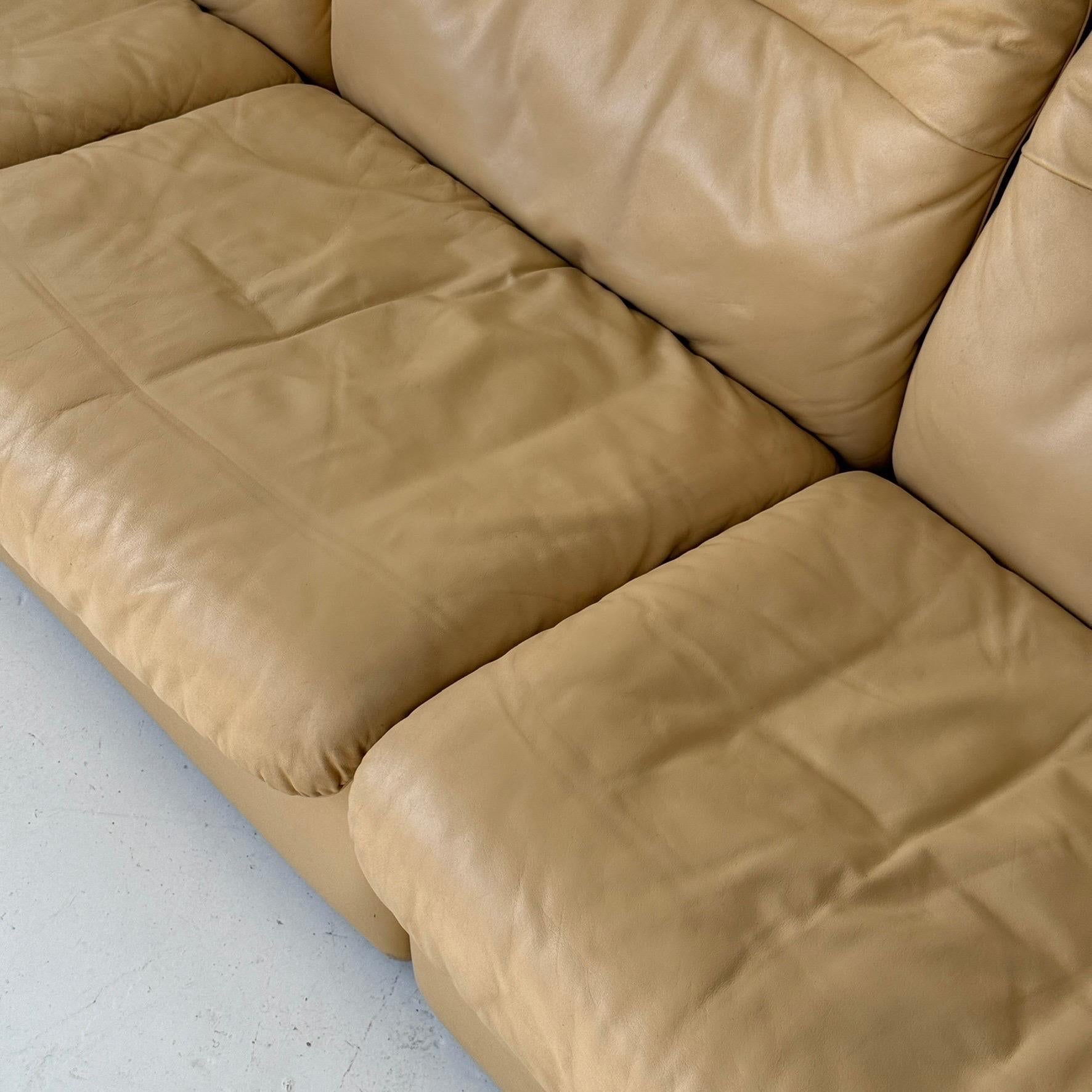 DS-66 Leder-Sofa aus Leder von De Sede (Moderne der Mitte des Jahrhunderts) im Angebot