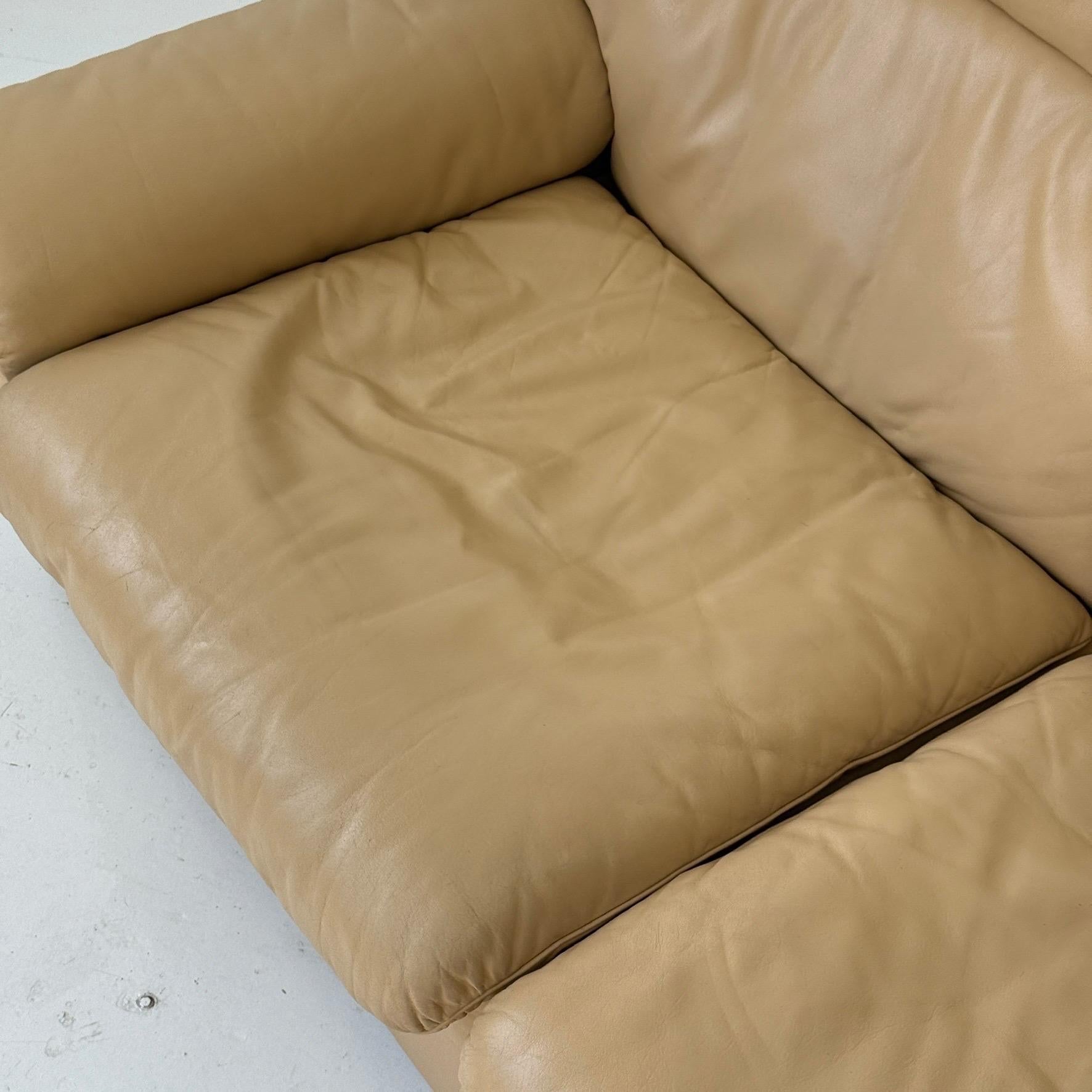 DS-66 Leder-Sofa aus Leder von De Sede (Sonstiges) im Angebot