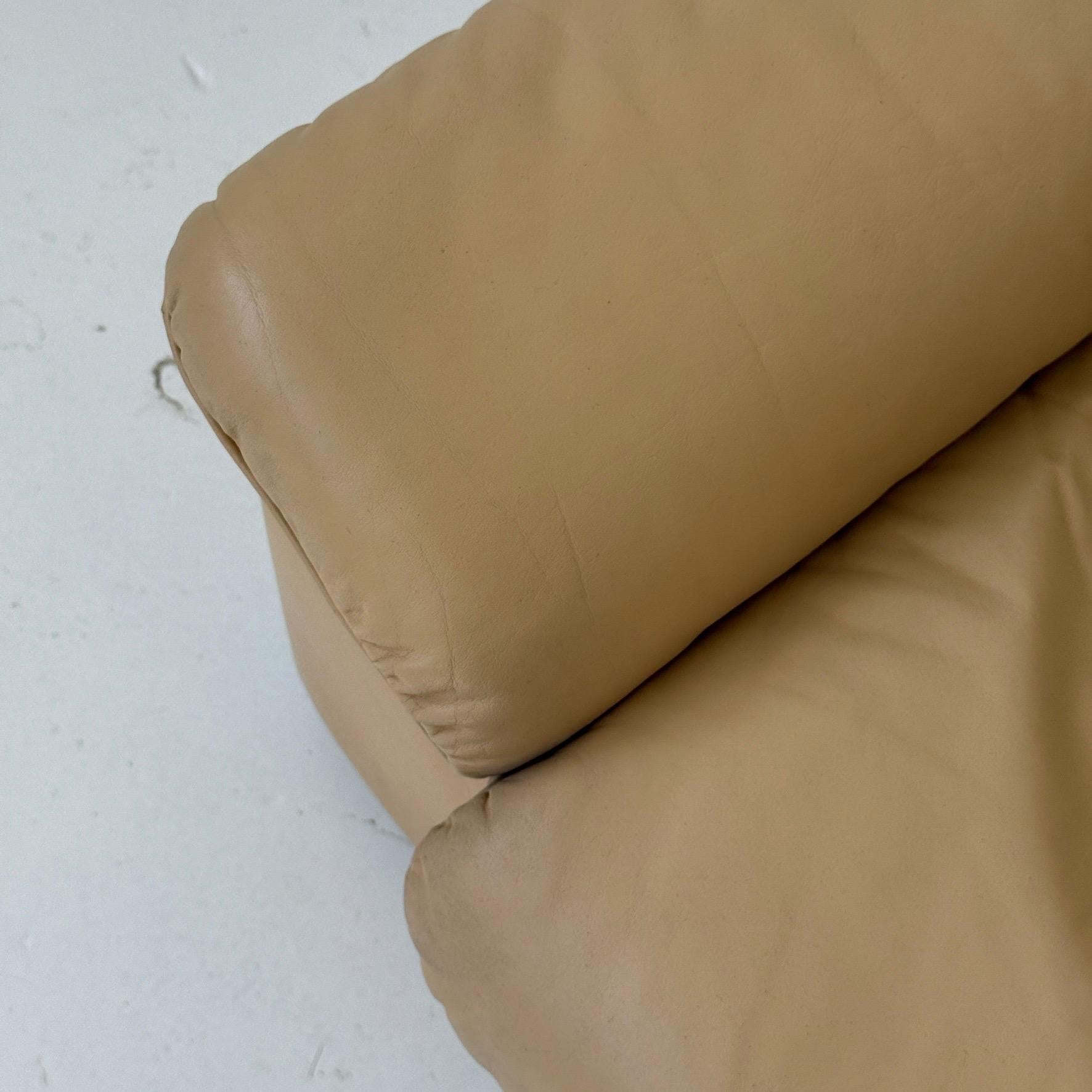 DS-66 Leder-Sofa aus Leder von De Sede im Zustand „Gut“ im Angebot in Chicago, IL