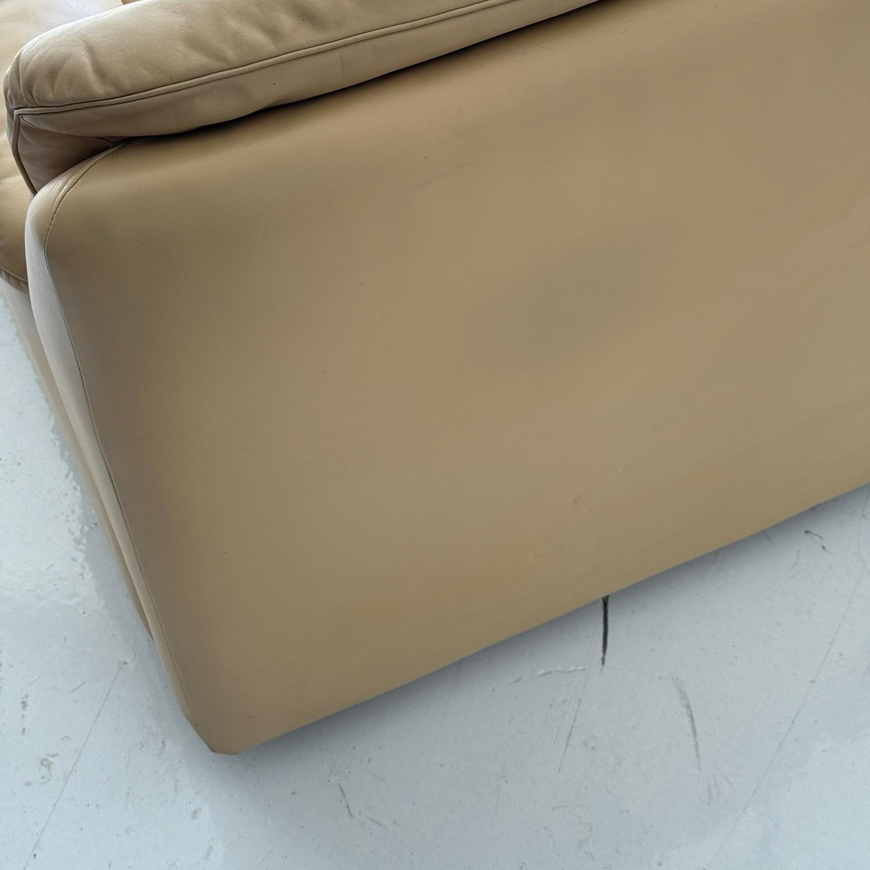 DS-66 Leder-Sofa aus Leder von De Sede im Angebot 2