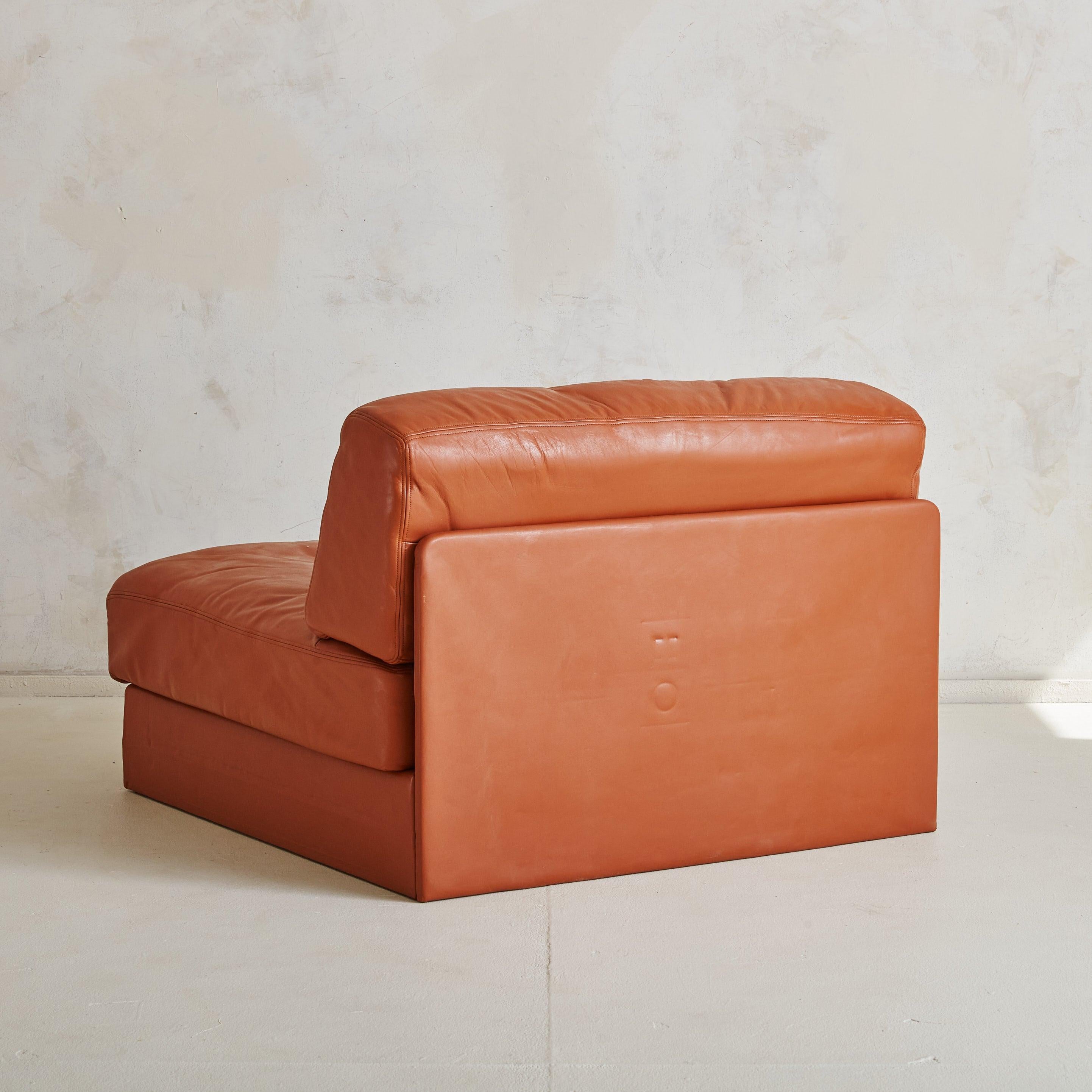 DS-76/107 Cognacfarbener Leder-Cabrio-Sessel von De Sede, Schweiz (Moderne der Mitte des Jahrhunderts) im Angebot
