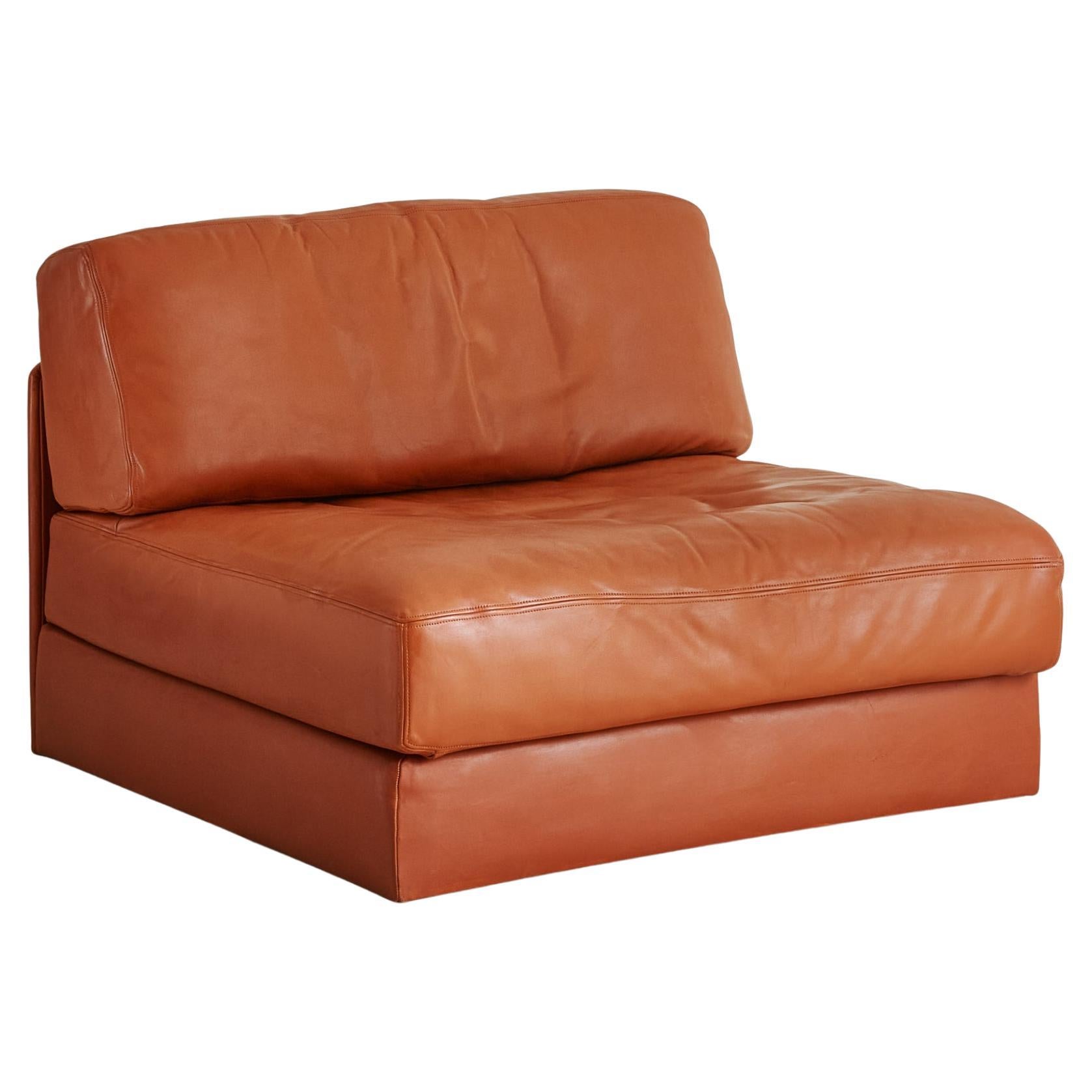 DS-76/107 Cognacfarbener Leder-Cabrio-Sessel von De Sede, Schweiz im Angebot