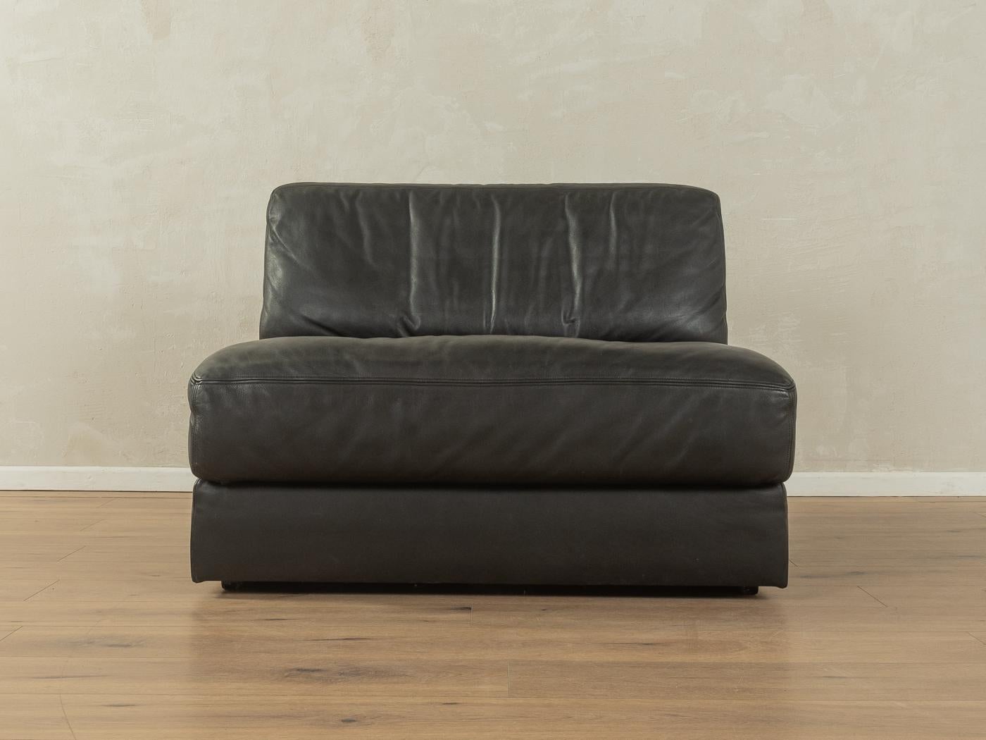 DS-76 Sessel, De Sede (Schweizerisch) im Angebot