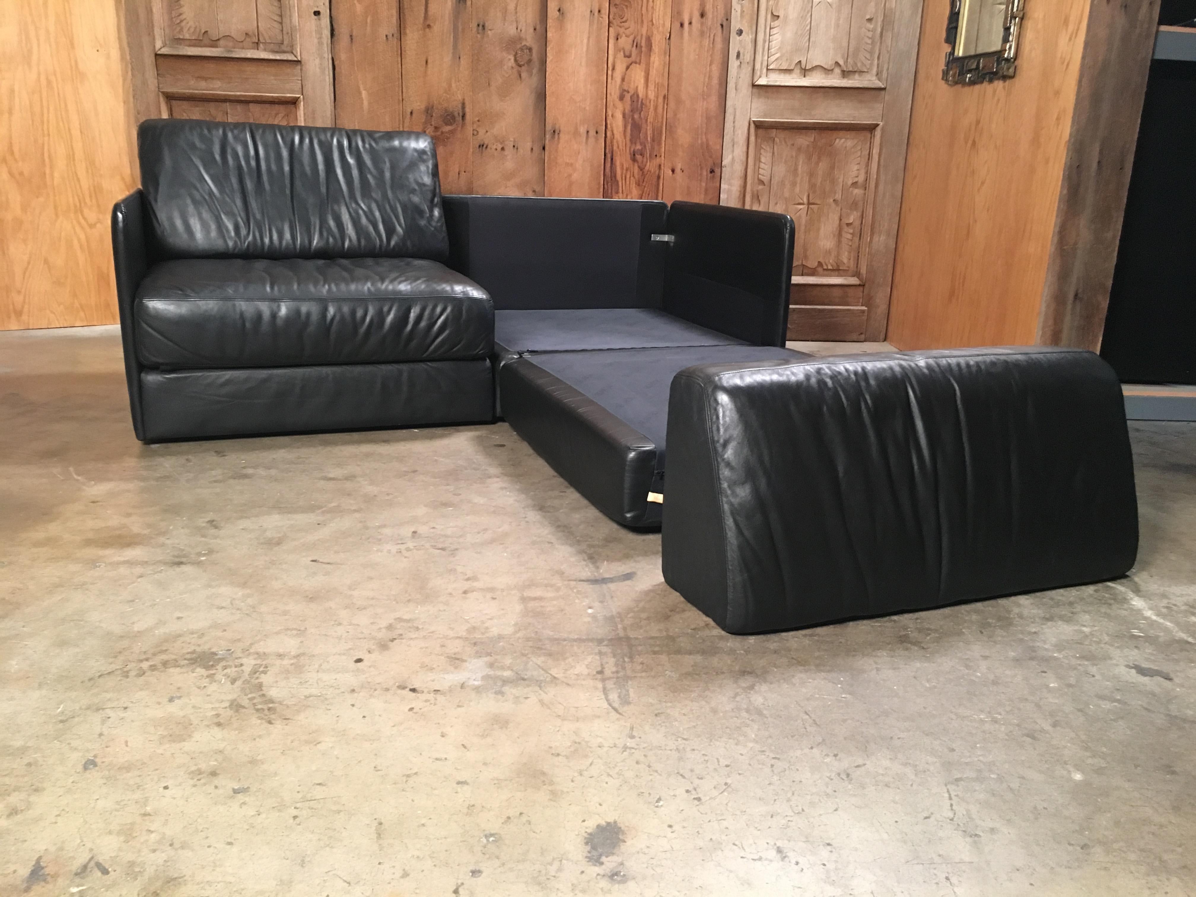 DS 76, De Sede Leather Sofa 9