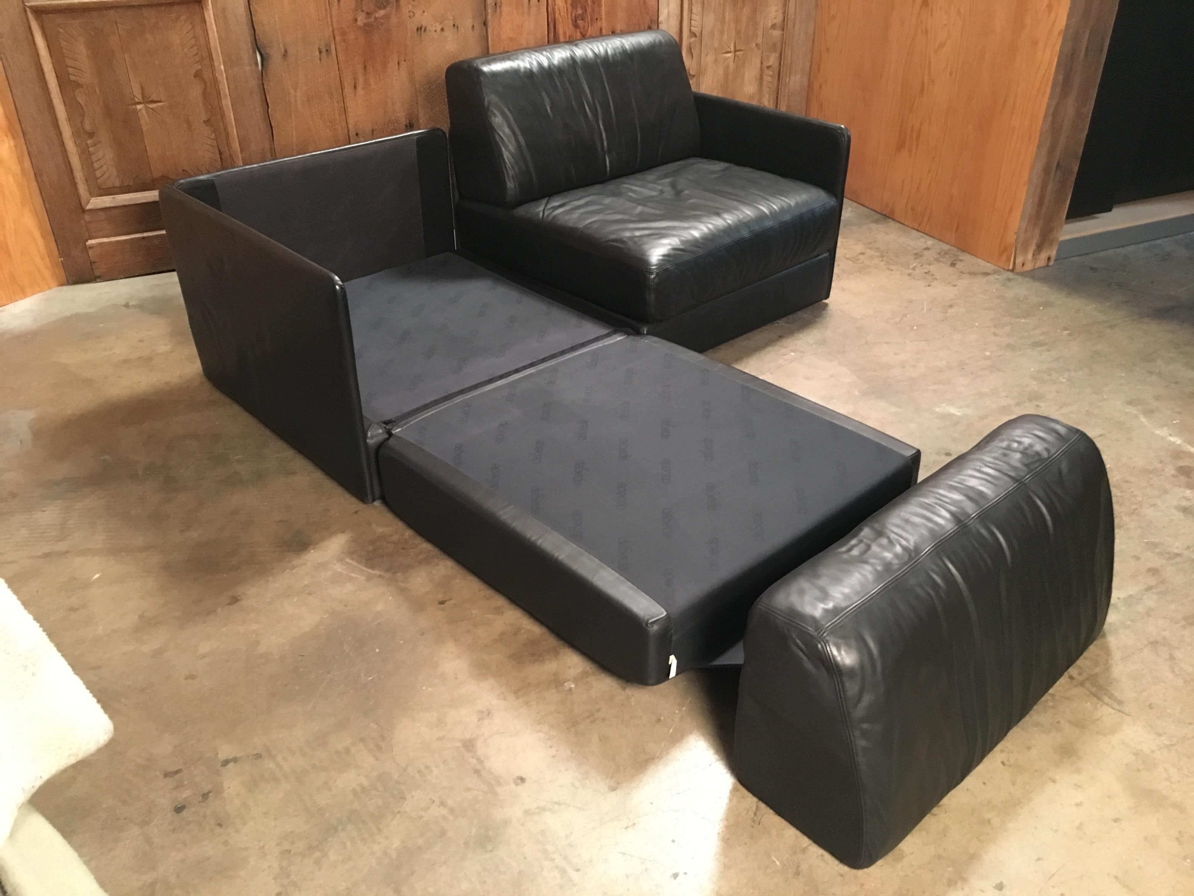 DS 76, De Sede Leather Sofa 13