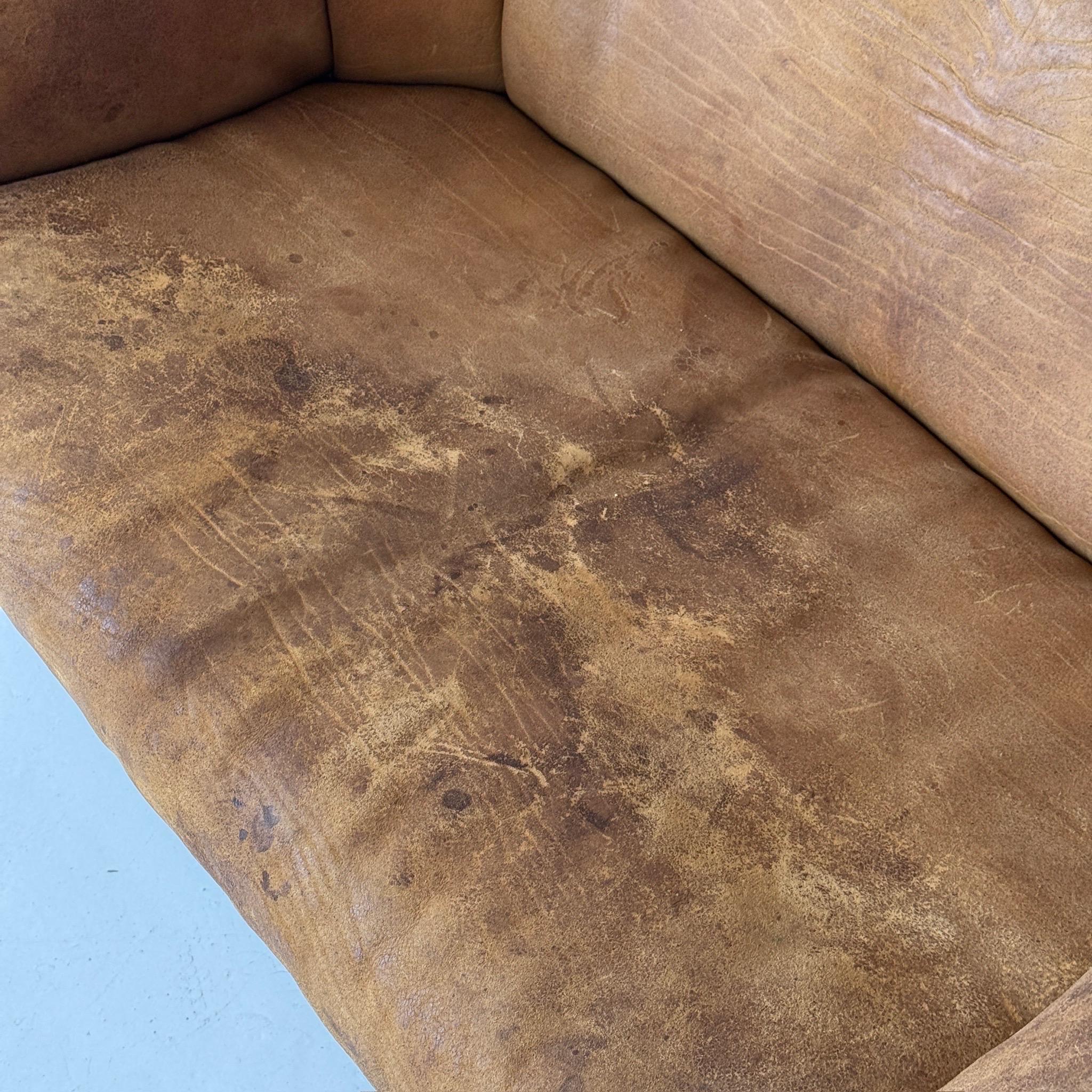 Mid-Century Modern DS-95 Buffalo Leather Sofa by De Sede For Sale
