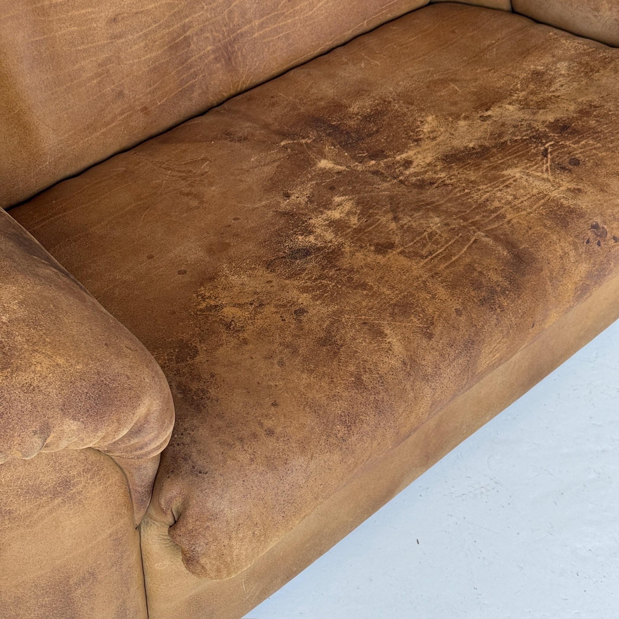 DS-95 Buffalo Leather Sofa by De Sede In Good Condition For Sale In Chicago, IL