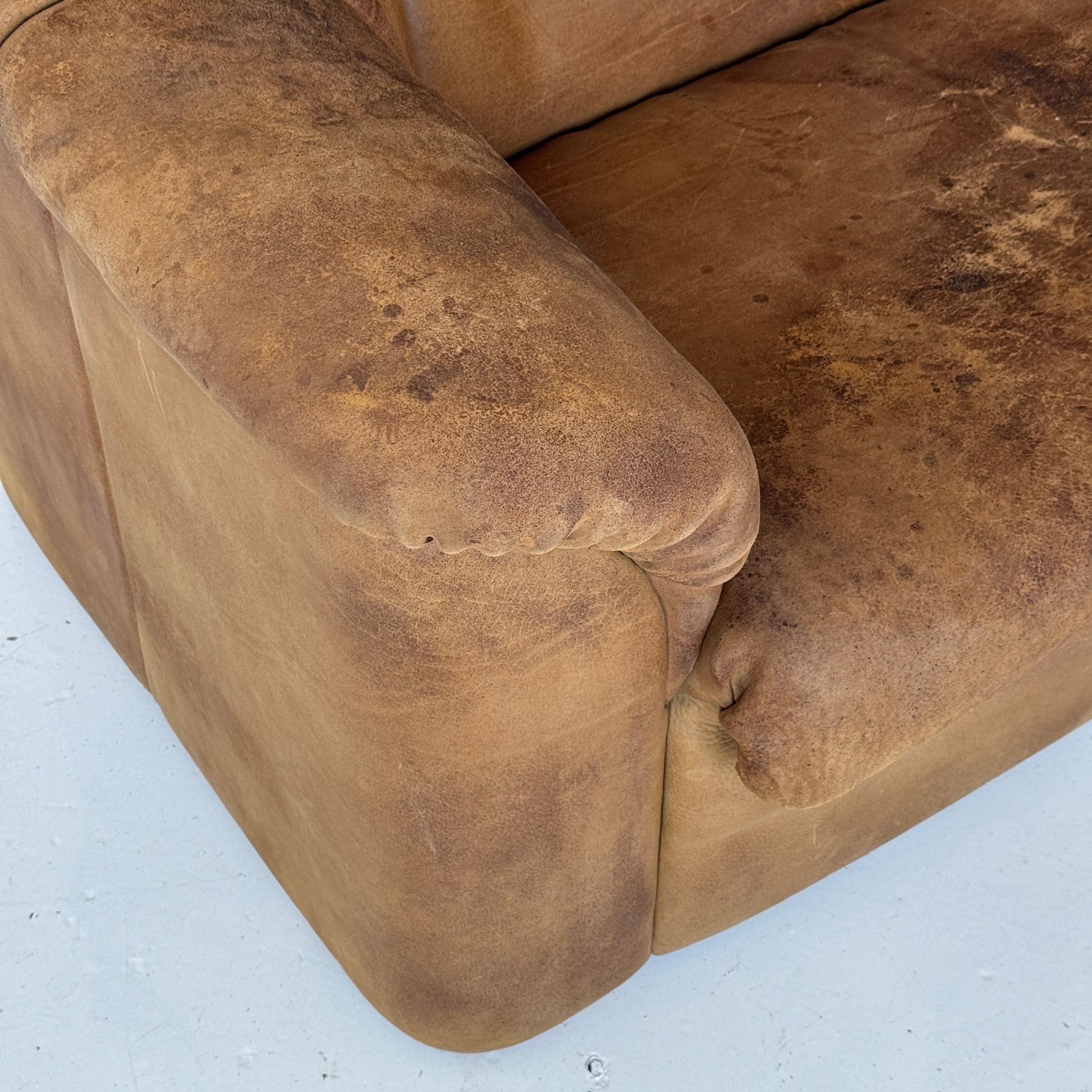 DS-95 Buffalo Leather Sofa by De Sede For Sale 1