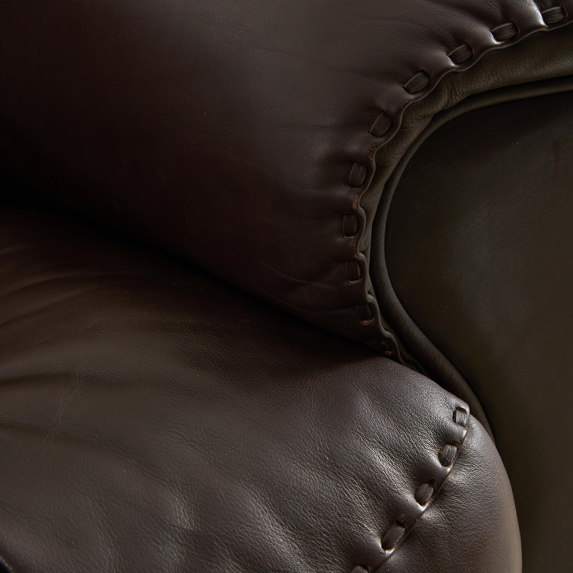 DS101 3 Seater Sofa, De Sede, 1970s 20