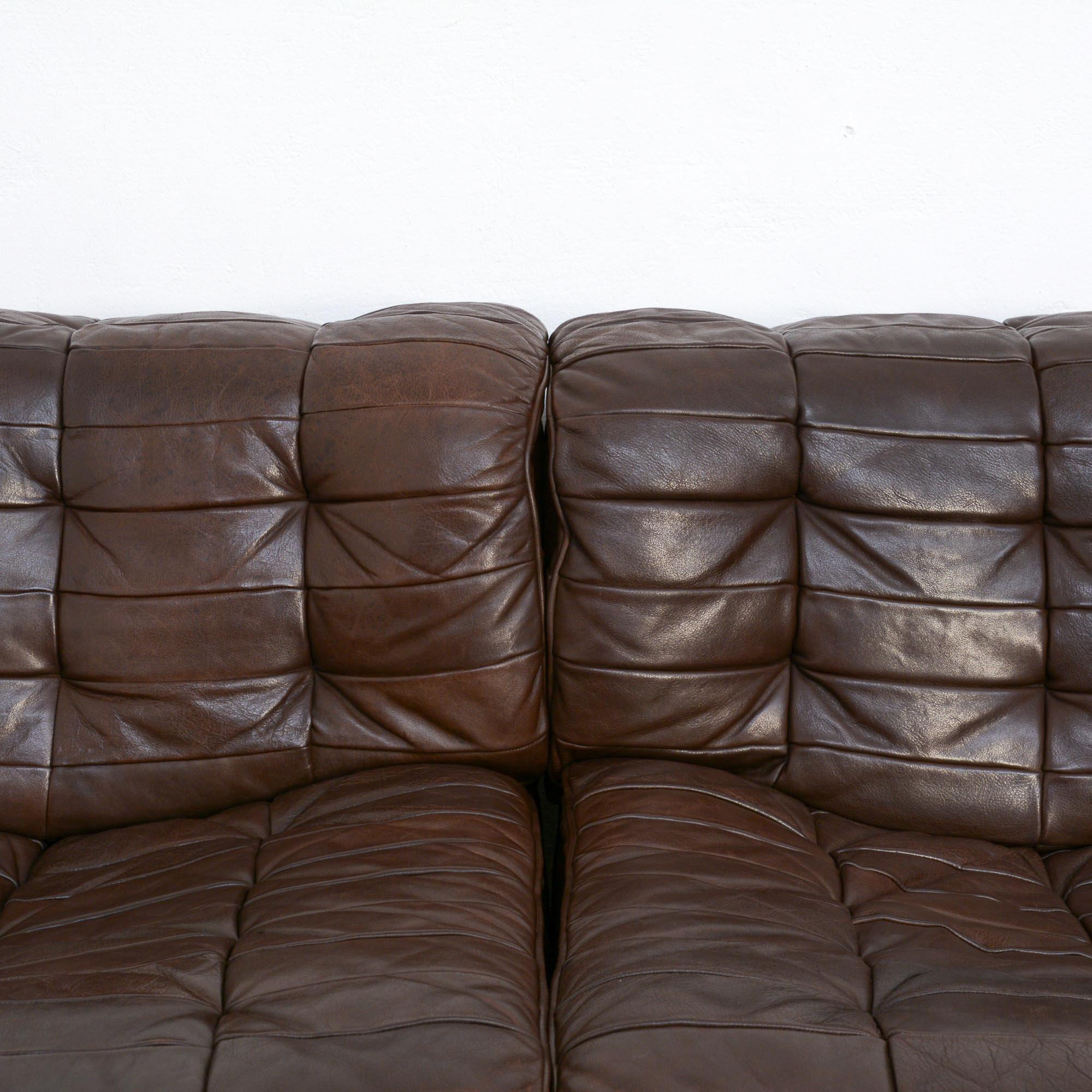 DS11 Modular Leather Sofa by De Sede 1