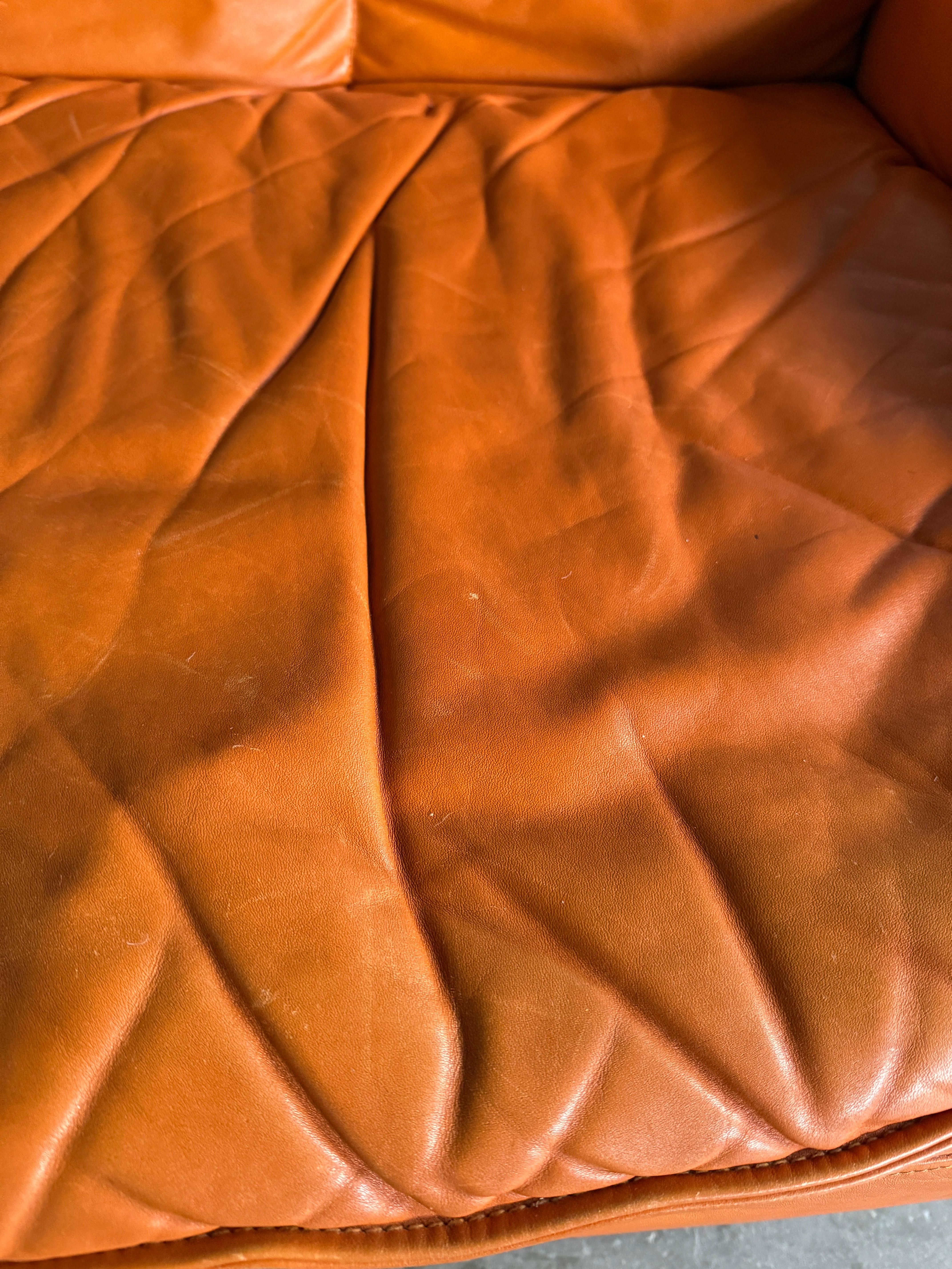 Leather DS12 Modular Sofa, De Sede For Sale