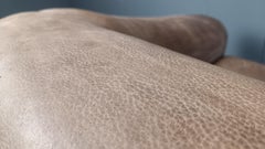 DS47 sofa by Desede, 1970s