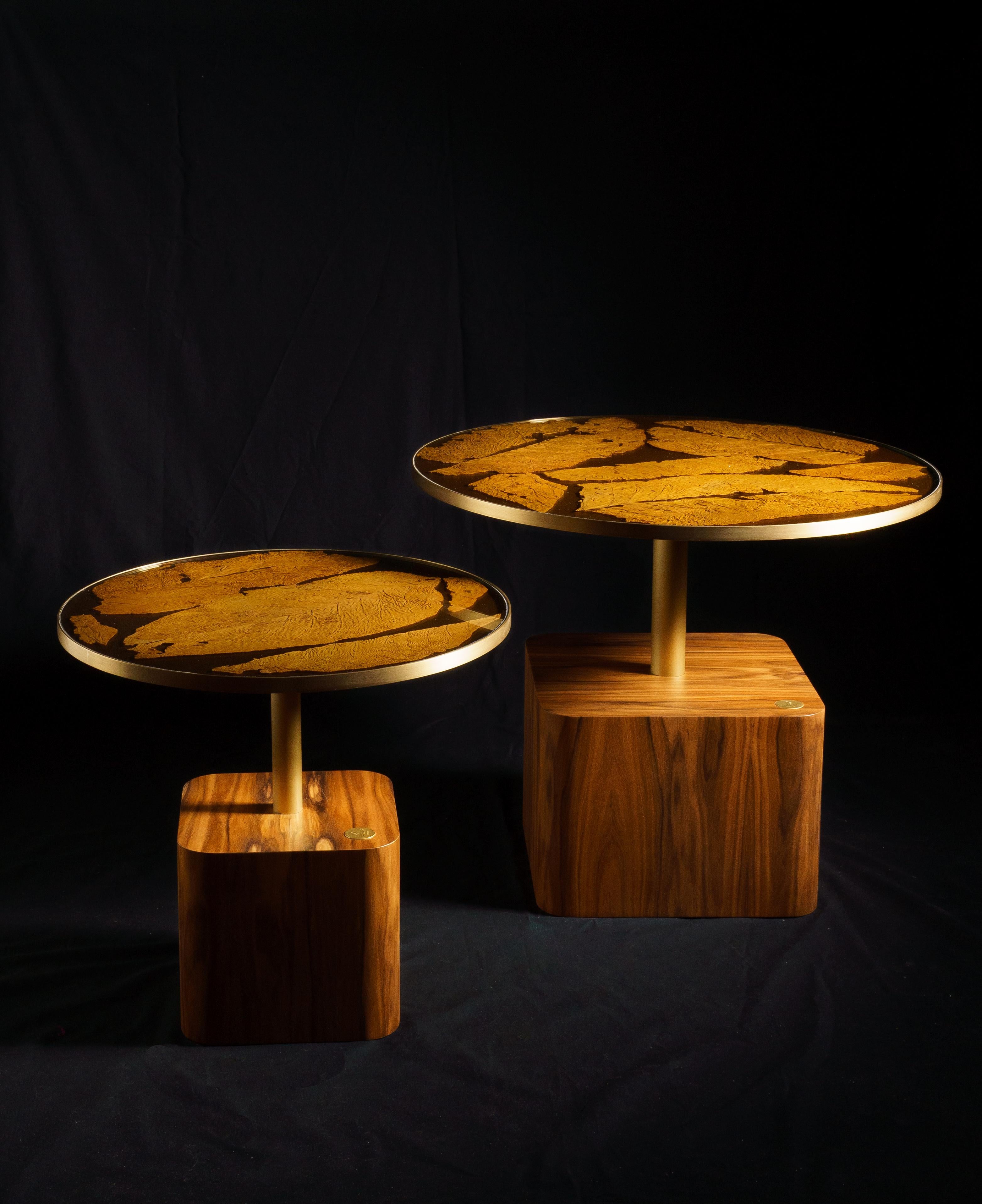 For cigar lovers and more, Margart has created a timeless coffee table. 
A new icon of luxury bio design, and a tribute to the ancient Italian tradition of growing tobacco leaves for the production of Tuscan cigars called 'toscanelli'.
The table is