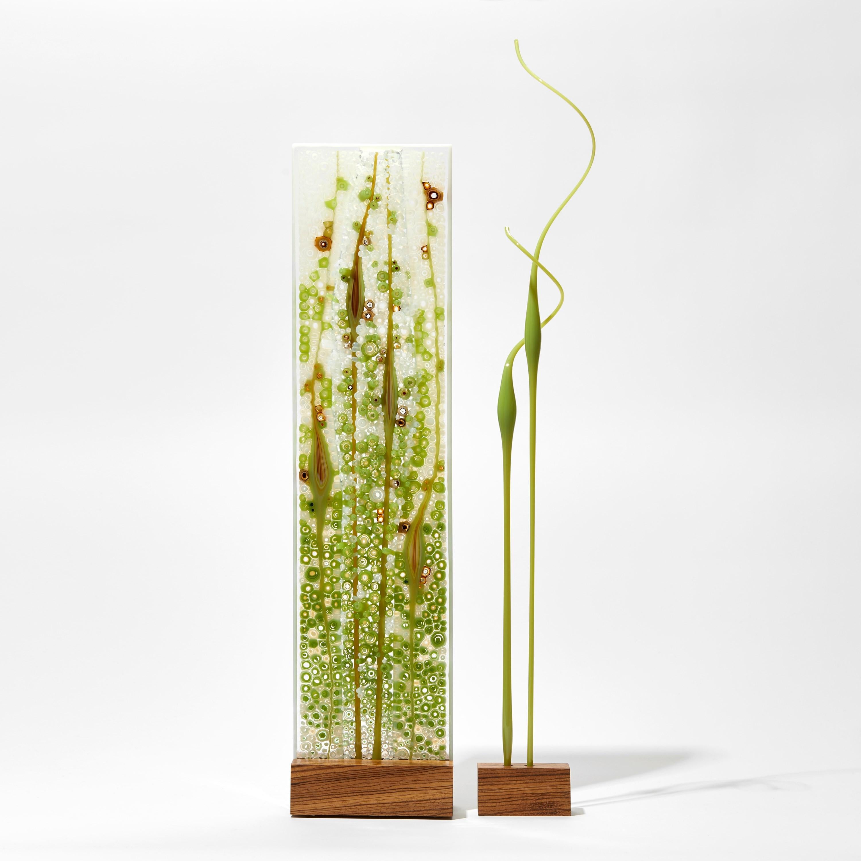 'Duality in Opal Green' is a unique glass sculpture by the Austrian artist Sandra A. Fuchs, created in verdant green, soft aqua, amber, white and clear glass.

Fuchs creates her own multicoloured and complex glass canes, which are then cut to create