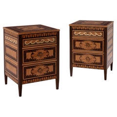 Dublin Marquetry Bedside Commodes