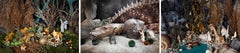 «Un hada y unos conejos», «El rey y el dragón» y «El lago de los dinosaurios»