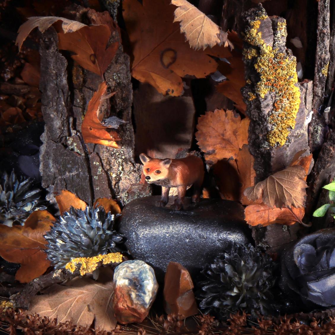 Un renard sur un rocher. Photographie en couleur en édition limitée - Noir Still-Life Photograph par Dubravka Lazic
