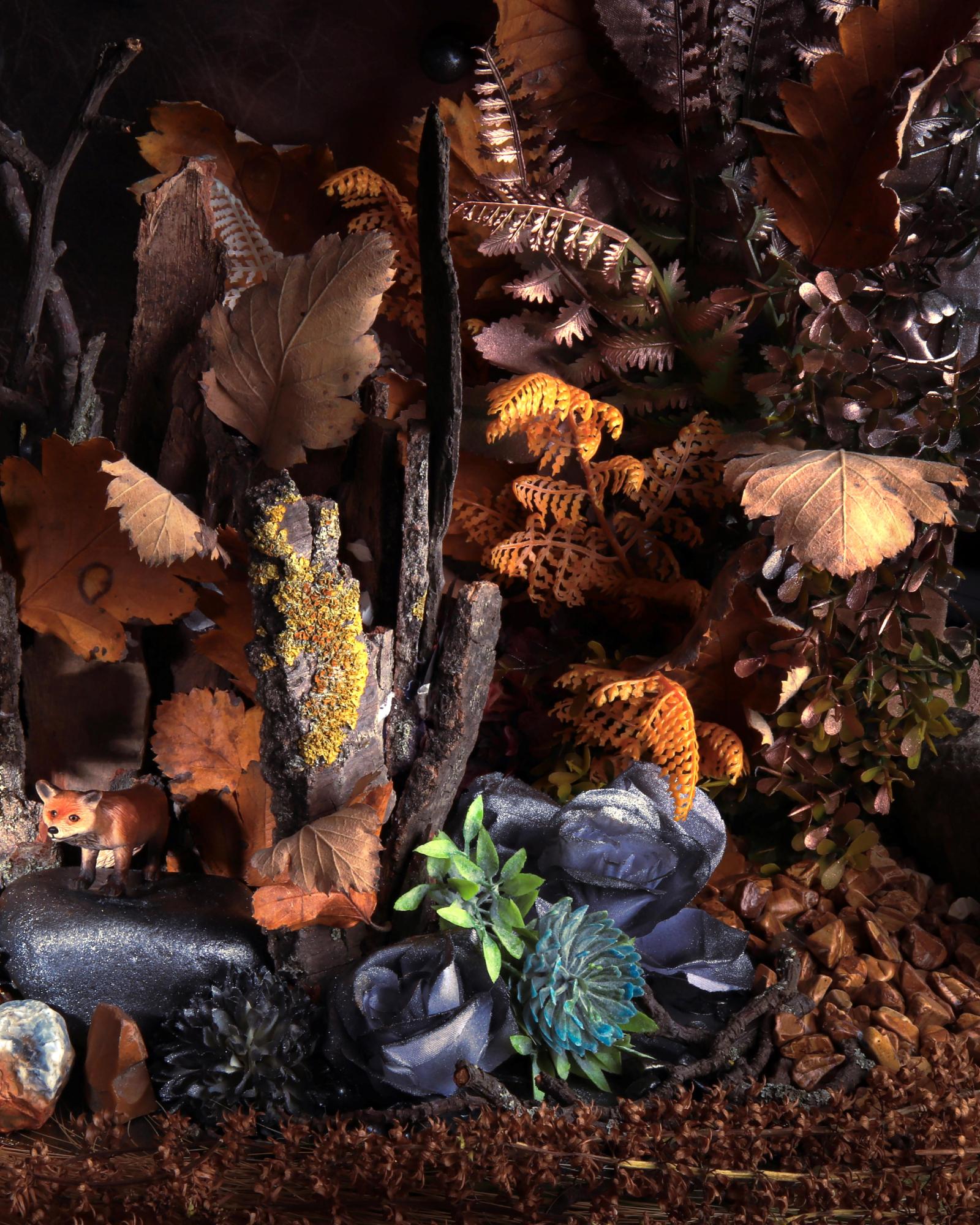 Un renard sur un rocher. Photographie en couleur en édition limitée en vente 1