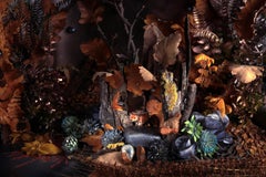 A Fox on a Rock. Limited edition color photograph