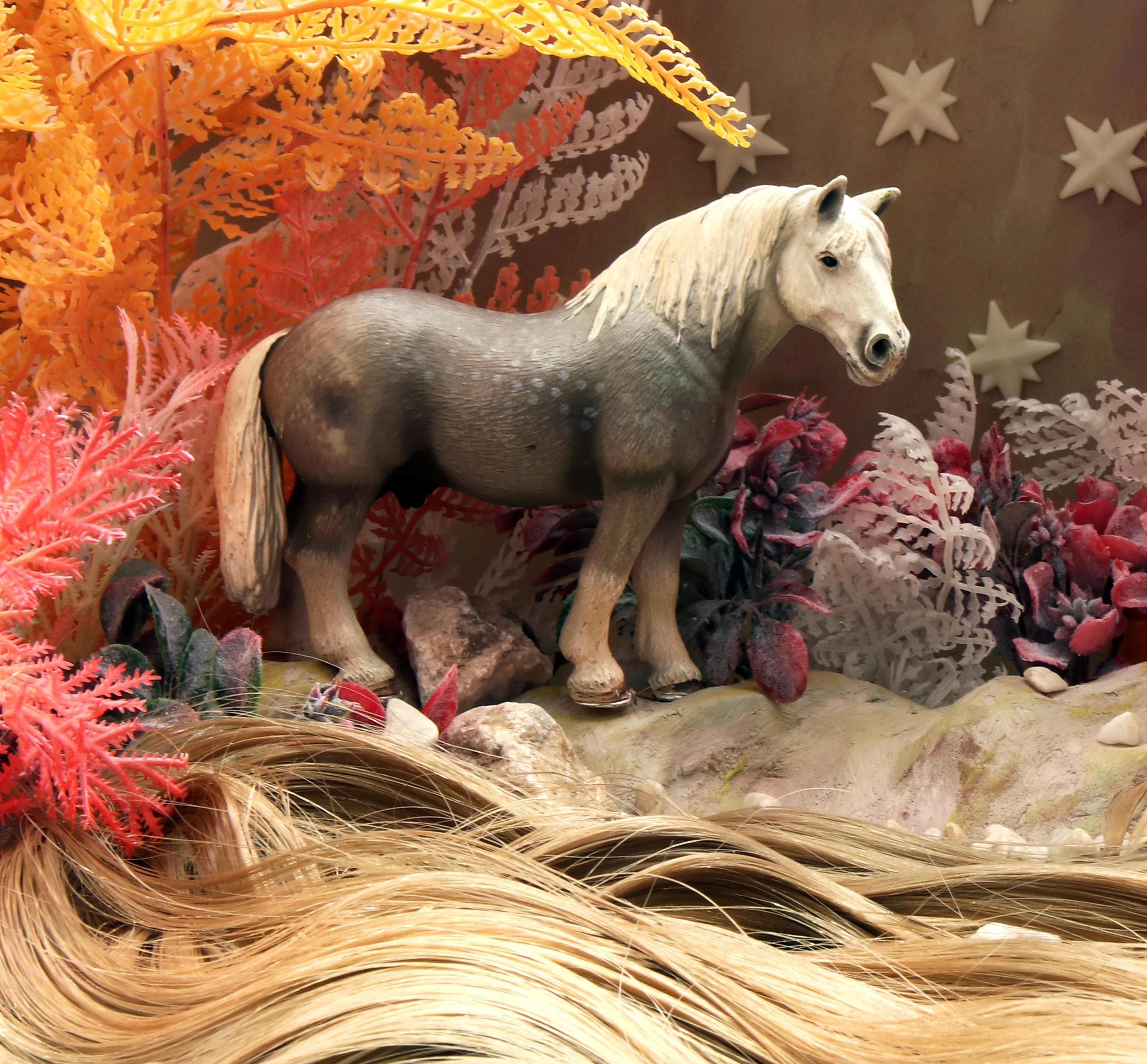 Un cheval. Photographie en couleur en édition limitée - Marron Still-Life Photograph par Dubravka Lazic