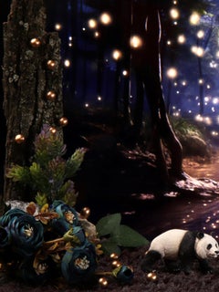 Ein Panda. Farbfotografie in limitierter Auflage